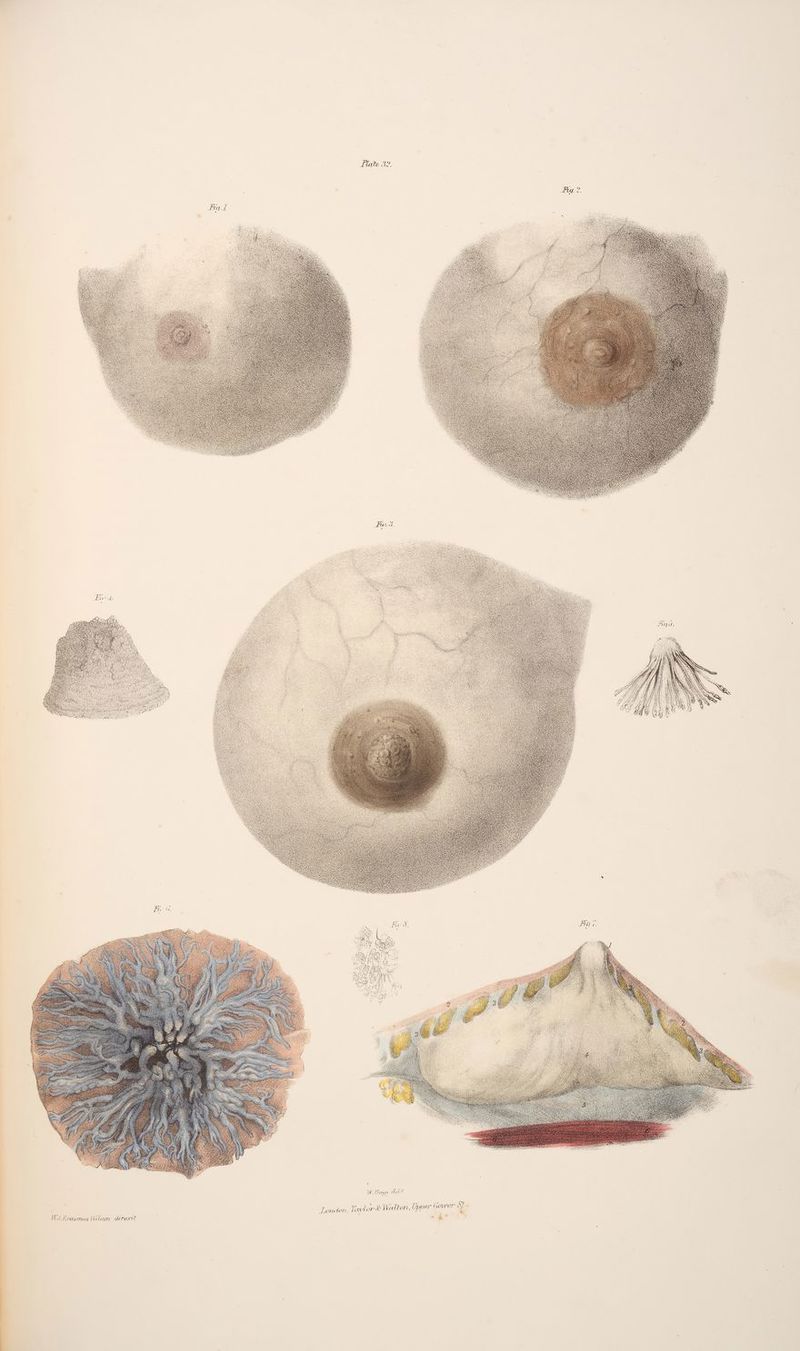 GES: W. Beuga wee ree od : &amp; London, leaylar &amp; Walton, Gpper Gover’ Wi Erasmus |ileon derextt o