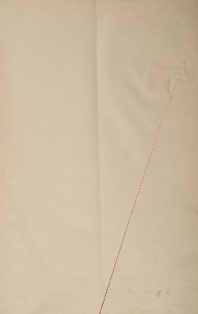 digitised image 3