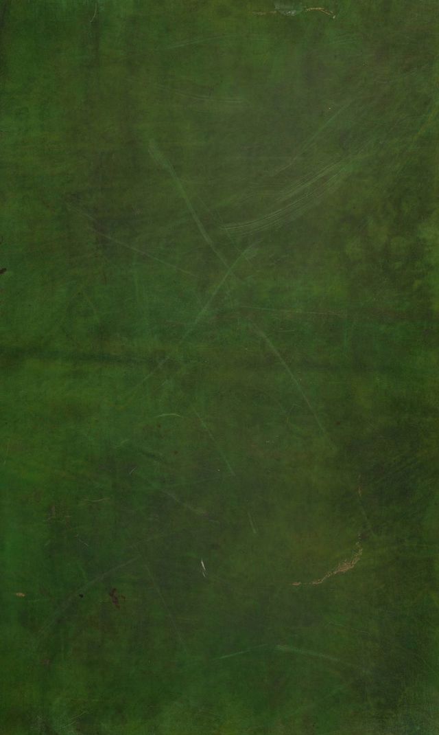 digitised image 1