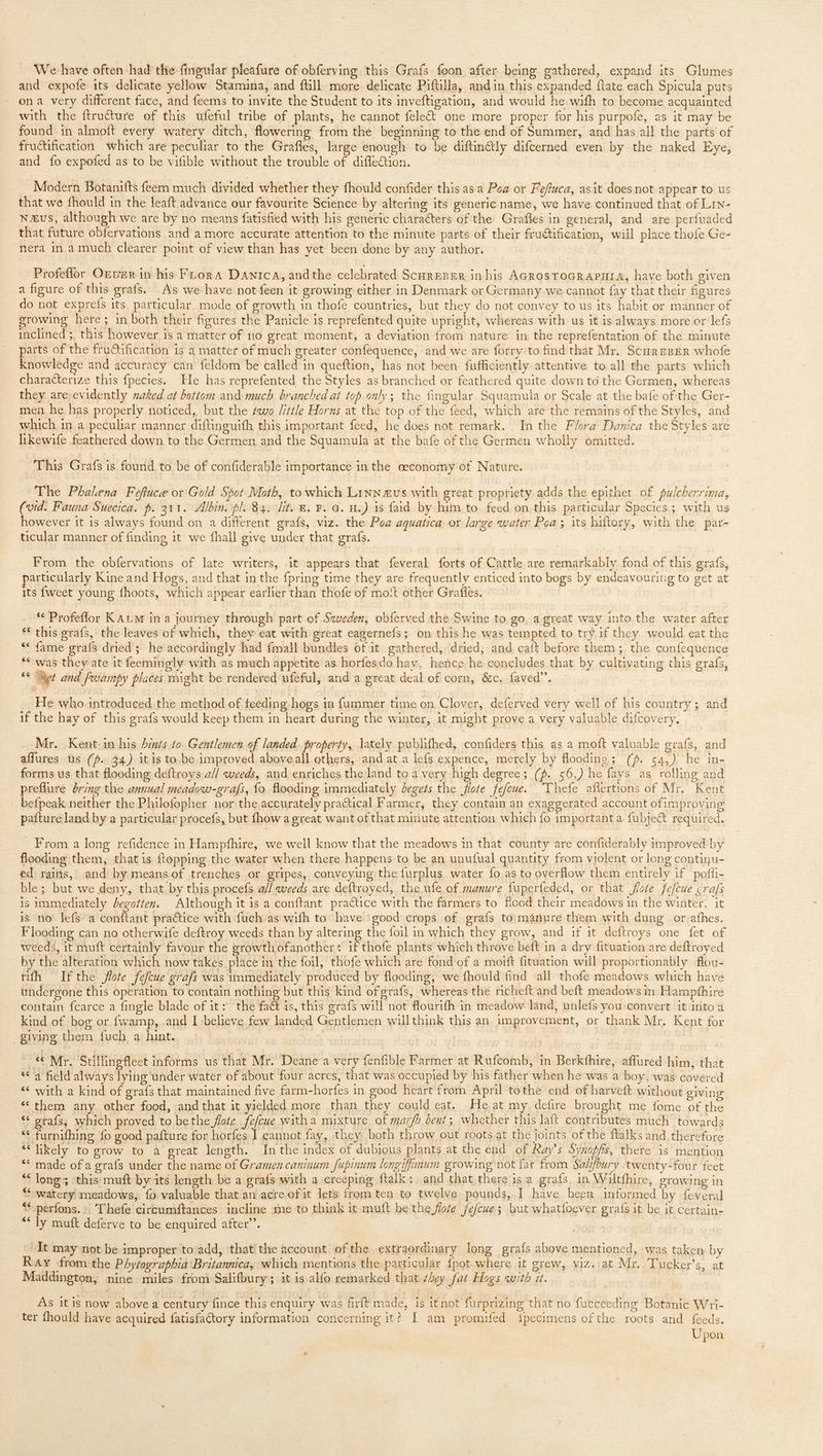 We have often had the fingular pleafure of obferving this Grafs foon after being gathered, expand its Glumes and expofe its delicate yellow Stamina, and {till more delicate Piftilla, andin this expanded flate each Spicula puts ona very different face, and feems to invite the Student to its inveftigation, and would he wifh to become acquainted with the ftructure of this üfeful tribe of plants, he cannot felect one more proper for his purpofe, as it may be found in almoft every watery ditch, flowering from the beginning to the end of Summer, and has all the parts of fructification which are peculiar to the Grafles, large enough to be diftin&ly difcerned even by the naked Eye, and fo expofed as to be vifible without the trouble of difleétion. Modern Botanifts feem much divided whether they fhould confider this as a Poa or Feffuca, asit does not appear to us that we fhould in the leaft advance our favourite Science by altering its generic name, we have continued that of Lrn- NJEUs, although we are by no means fatisfied with his generic characters of the Grafles in general, and are perfuaded that future obfervations and a more accurate attention to the minute parts of their fructification, will place thofe Ge- nera in a much clearer point of view than has yet been done by any author. Profeflor Orver in his Frog A Danica, andthe celebrated Scuggpgn inhis AcnosToGRAPHIA, have both given a figure of this grafs. As we have not feen it growing either in Denmark or Germany we cannot fay that their figures do not exprefs its particular mode of growth in thofe countries, but they do not convey to us its habit or manner of growing here; in both their figures the Panicle is reprefented quite upright, whereas with us it is always more or lefs inclined ;, this however is a matter of no great moment, a deviation from nature in the reprefentation of the minuté parts of the fructification is a matter of much greater confequence, and we are forry to find that Mr. ScuazsER whofe knowledge and accuracy can feldom be called in queftion, has not been fufficiently attentive to all the parts which characterize this fpecies. He has reprefented the Styles as branched or feathered quite down to the Germen, whereas they are: evidently naked at bottom and much branched at top only; the fingular Squamula or Scale at the bafe ofthe Ger- men he has properly noticed, but the £uwo /ittle Horns at the top of the feed, which are the remains of the Styles, and which in a peculiar manner diftinguith this important feed, he does not remark. In the Flora Danica the Styles are likewife feathered down to the Germen and the Squamula at the bafe of the Germen wholly omitted. This Grafs is found to be of confiderable importance in the ceconomy of Nature. The Phalena Feftuce or Gold Spot Moth, to which Linn avs with great propriety adds the epithet of pulcherrima, (vid. Fauna Suecica. 5. 311. Albin. pl. 84. lit. €. Y. a. H.) is faid by him to. feed on this particular Species ; with us however it is always found on a different graís, viz. the Poa aquatica or large water Poa 5 its biftory, with the par- ticular manner of finding it we fhall give under that grafs. | From the obfervations of late writers, jit appears that feveral forts of Cattle are remarkably fond of this grafs, particularly Kine and Hogs, and that in the {pring time they are frequently enticed into bogs by endeavouring to get at its {weet young fhoots, which appear earlier than thofe of mott other Graffes. ** Profeflor KArw ina journey through part of Sweden, obferved the Swine to go, a great way into.the water after ** this grafs, the leaves of which, they eat with great eagernefs; on this he was tempted to try if they would eat the ** fame grafs dried ; he accordingly had fmall bundles of it gathered, dried, and caft before them ; the confequence ** was they ate 1t feemingly with as much appetite as horfesdo hav, hence he concludes that by cultivating this grafs, *€ Bet. and. f'evampy places might be rendered ufeful, and a great deal of corn, &c. faved”. He who introduced the method of feeding hogs in fummer time on Clover, deferved very well of his country; and if the hay of this grafs would keep them in heart during the winter, it might prove a very valuable difcovery. Mr. Kent.in his Aints to Gentlemen of landed property, lately publifhed, confiders this as a moft valuable grafs, and affures us (5. 34) it is to be improved aboveall others, and at a lefs expence, merely by flooding; (f$. 54,) he in- forms us that flooding deftroys a// weeds, and enriches the land to à very high degree; (f. 56,) he fays as rolling and preflure bring the annual meadow-grafs, fo flooding immediately begets the jflote fefcue. 'Yhefe aflertions of Mr. Kent - befpeak neither the Philofopher nor the accurately practical Farmer, they contain an exaggerated account ofimproving pafture land by a particular procefs, but fhow a great want of that minute attention which fo important a fubje& required. . From a long refidence in Hampfhire, we well know that the meadows in that county are confiderably improved by flooding them, that is ftopping the water when there happens to be an unufual quantity from violent or long continu- ed rains, and by means of trenches or gripes, conveying the furplus water fo as to overflow them entirely if pofli- ble; but we deny, that.by this procefs a// weeds are deftroyed, the ufe of manure fuperteded, or that flote fefcue xra/s is immediately begotten. Although it is a conftant practice with the farmers to flood their meadows in the winter. it is no lefs a conftant practice with fuch as with to have good crops of graís to manure them with dung or athes. Flooding can no otherwife deftroy weeds than by altering the foil in which they grow, and if it deftroys one fet of weeds, it muft certainly favour the growth ofanother: if thofe plants which throve beft in a dry fituation are deftroyed by the alteration which now takes place in the foil, thofe which are fond of a moift fituation will proportionably flou- tith Ifthe flote fefcue grafs was immediately produced by flooding, we fhould find all thofe meadows which have undergone this operation to contain nothing but this kind ofgraís, whereas the richeft and beft meadows in Hampthire contain fcarce a fingle blade of it: the fact is, this grafs will not flourifh in meadow land, unlefs you convert it into a kind of bog or fwamp, .and I believe few landed Gentlemen willthink this an improvement, or thank Mr. Kent for giving them fuch, a hint.. « Mr. Stillingfleet informs us that Mr. Deane a very fenfible Farmer at Rufcomb, in Berkfhire, affured him, that ** 3 field always lying under water of about four acres, that was occupied by his father when he was a boy, was covered *€ with a kind of graís that maintained five farm-horfes in good heart from April tothe end of harvett without giving * them any other food, and that it yielded more than they could eat. He at my. defire brought me fome of the ** grafs, which proved to bethe flote. fefcue witha mixture of marfb bent; whether this laft contributes much towards ** furnifhung fo good pafture for horfes J cannot fay, they both throw out roots at the joints of the ftalks and therefore ** likely to grow to a great length. Inthe index of dubjous plants at the end of Ray’s Synopfis, there is mention ** made of a grafs under the name of Gramen caninum Jupinum longifimum growing not far from Sal//hury twenty-four feet ** long; this muft by its length be a grafs with a crceping ftalk: and that there 1s a. grafs. in Wiltfhire, growing in ** watery meadows, {o valuable that an acre of it lets from ten to twelve pounds, I have been informed by feveral **-perfons.'. Thefe circumftances incline me to think it muft be the flote fe/cue; but whatfoever grafs it be it certain- “ly muft deferve to be enquired after. Jt may not be improper to add, that the account ofthe extraordinary long graís above mentioned, was taken by Ray from the Phytographia Britannica, which mentions the particular {pot where it grew, viz. at Mr. Tucker’s, at Maddington, nine miles from Salifbury; it is alfo remarked that they fat Hogs with it. As itis now above a century fince this enquiry was firft made, is it not furprizing that no fucceeding Botanic Wri- ter fhould have acquired fatisfaCtory information concerning it? I am promufed ipecimens ofthe roots and feeds. Upon