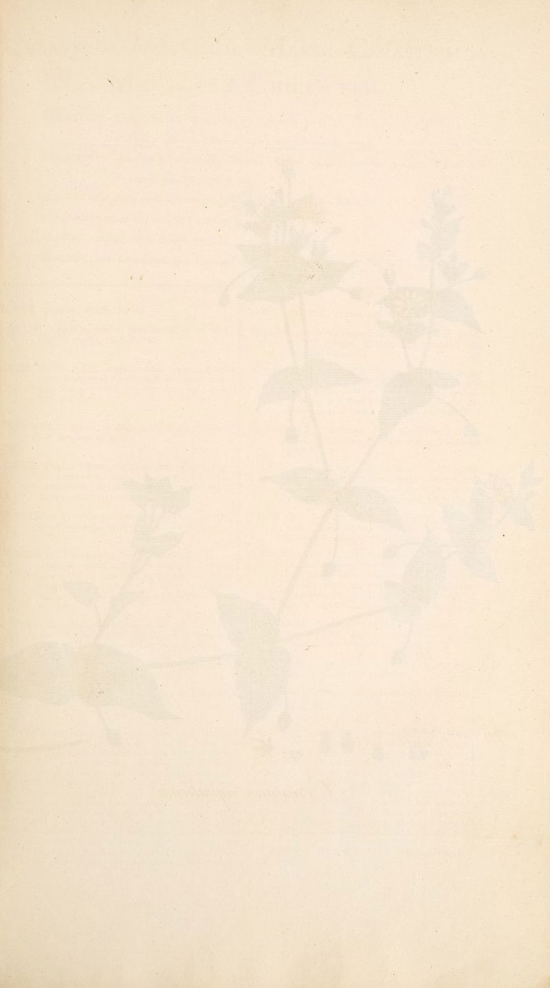 Ee i t's, A» AEE NED A uaa : i TEN - Wes Oe 5 * - ^w í oom ^ A Qs 1p «n S um
