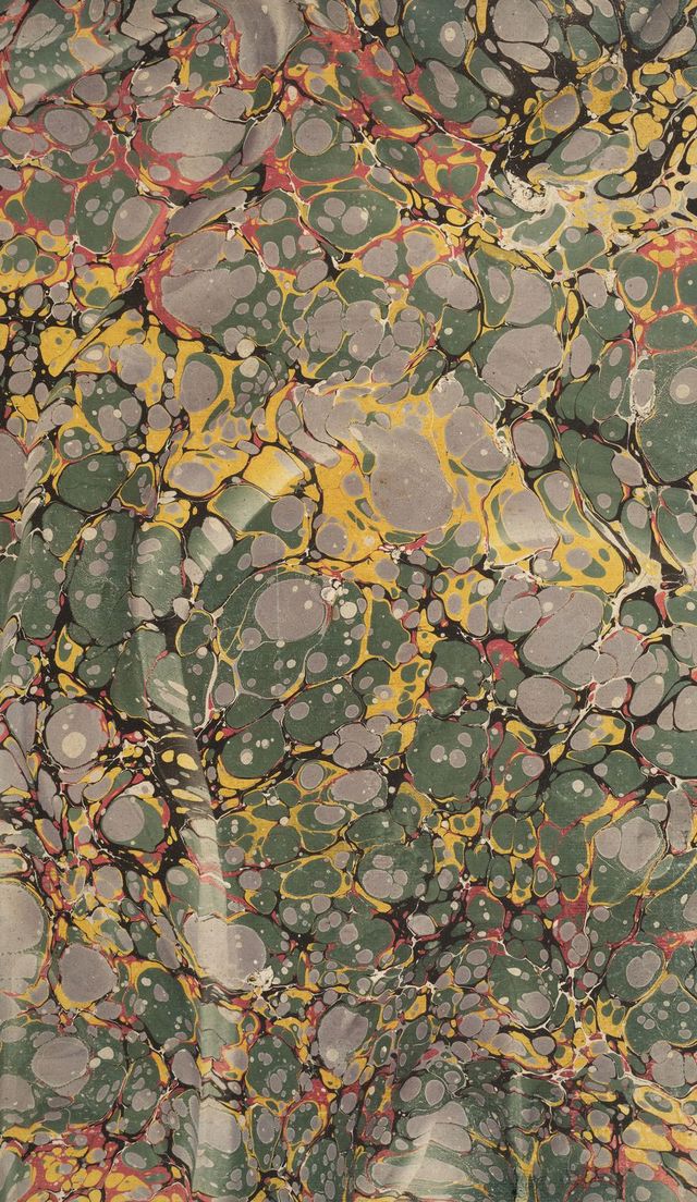 digitised image 3