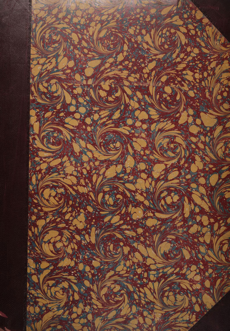 No text description is available for this image