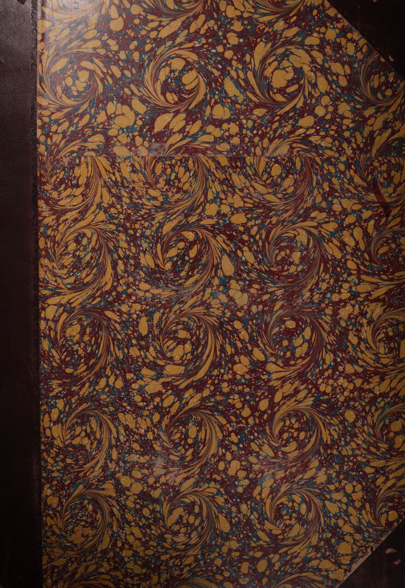 No text description is available for this image