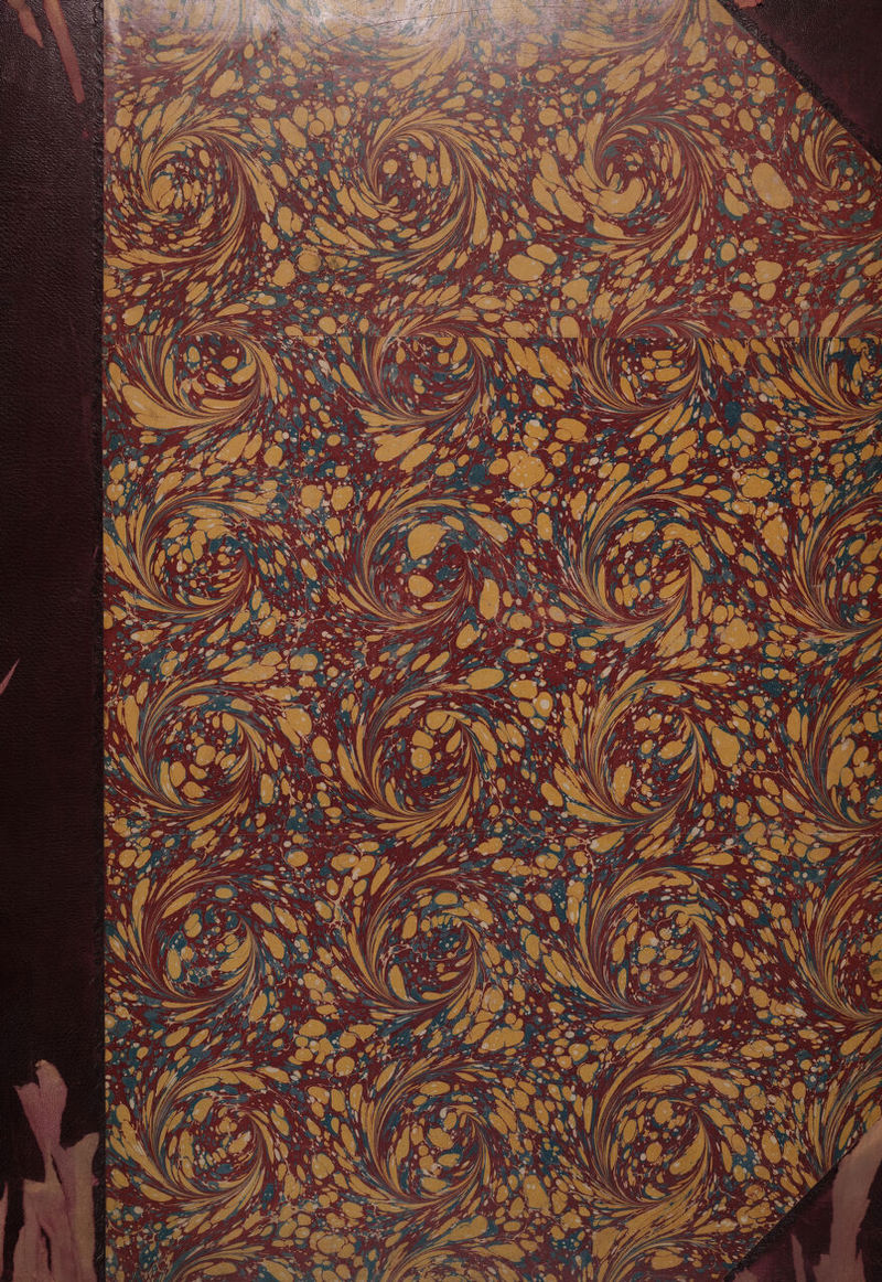 No text description is available for this image