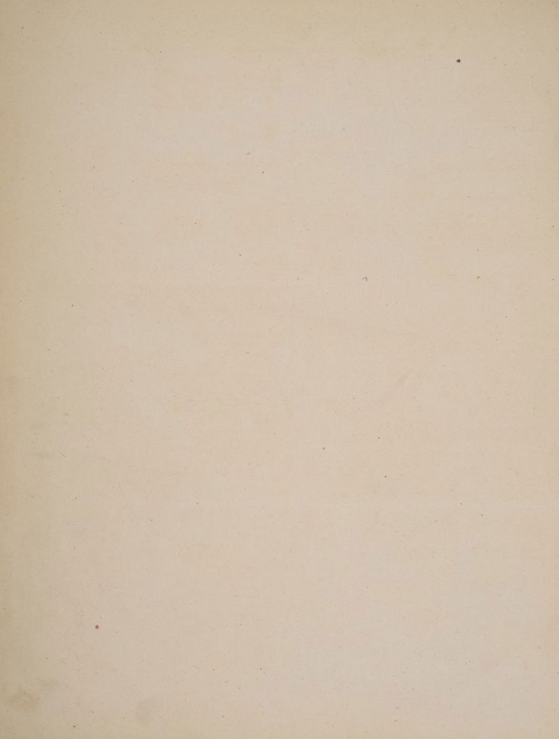 zs Soo T temirxve &amp;