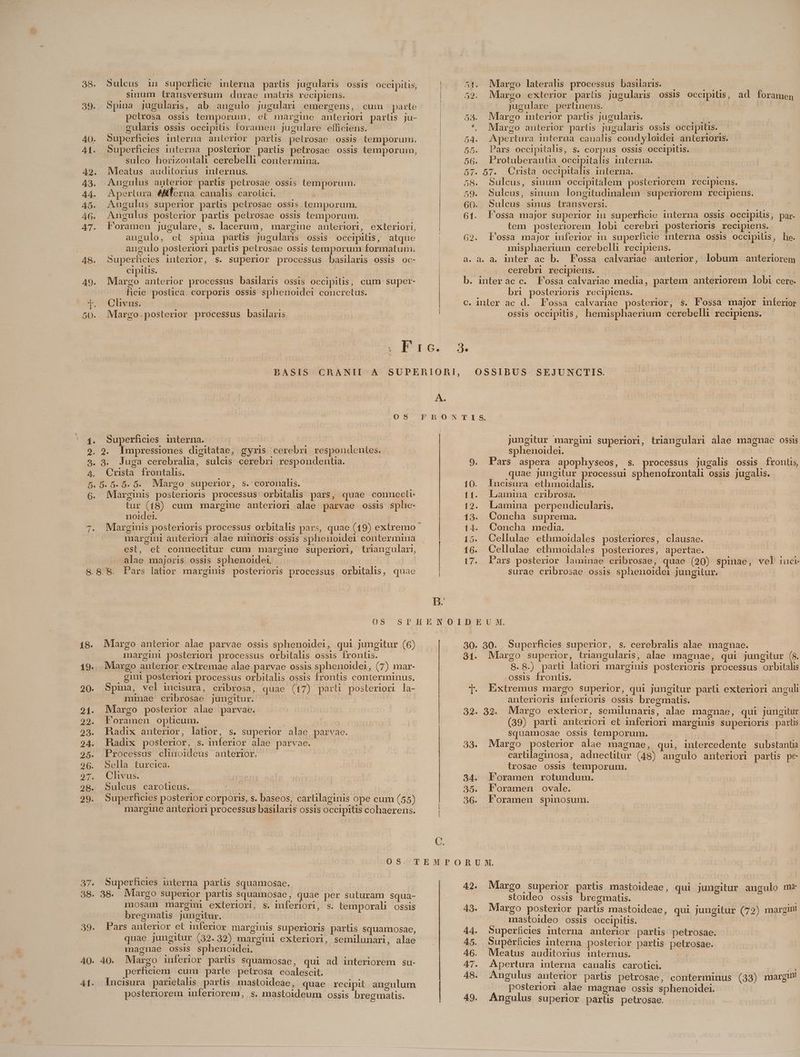 sinum transversum durae matris recipiens. 39. Spina jugularis, ab angulo jugulari emergens, cuim parte pelrosa ossis temporum, et margine anteriori parlis ju- A gularis ossis occipitis foramen jugulare efficiens. 40. Superficies interna anterior partis pelrosae ossis temporum. 41. Superficies interna poslerior partis pelrosae ossis temporum, sulco horizontal cerebelli contermina. 42. Mleatus auditorius internus. 43. Angulus anterior parlis petrosae ossis temporum. 44. Apertura éAcrua canalis carotici. - 45. Augulus superior partis pelrosae ossis temporum. 46. Angulus posterior partis pelrosae ossis temporum. 47. Foramen jugulare, s. lacerum, margine anteriori, exteriori, angulo, et spina parts jugularis ossis occipitis, atque angulo posteriori partis pelrosae ossis temporum formatum. 48. Superficies interior, s. superior processus basilaris ossis oc- cipilis. b 49. Margo anterior processus basilaris ossis occipitis, cum super- ficie postica corporis OSSiS sphenoidei concretus. «ccs. Margo.posterior processus basilaris 0S 4. Superficies interna. 2. 2. impressiones digitatae, gyris cerebri respondentes. 3. 9. Juga cerebralia, sulcis cerebri respondent. 4. Crusta frontalis. 5.5.5.5. 0. Margo superior, s. coronalis. 6. Marginis posterioris processus orbitalis pars, quae connectü- bons cum margine anteriori alae parvae ossis sphe- noidei. A. 2. Margo exterior parlis jugularis ossis occipitis, ad foramen jugulare pertinens. | 55. Margo interior partis jugularis.  * Margo anterior partis jugularis ossis occipitis. 54. Apertura interna canalis condyloidei anterioris. 55. Pars occipitalis, s. corpus ossis occipitis. Protuberantia occipitalis interna. 7. 57. Cnista occipitalis interna. 58. Sulcus, simum occipitalem posteriorem recipiens. 59. Sulcus, sinum longitudinalem superiorem recipiens. 60. Sulcus sinus transversi. 61. Fossa major superior in superficie interna ossis occipilis, par. tem posteriorem lobi cerebri posterioris recipiens. G2. Fossa major inferior iu superficie interna ossis occipilis, he. misphaerium cerebelli recipiens. a. à. a. inter ac b. Fossa calvariae anterior, lobum anteriorem cerebri recipiens. | | b. interac c. Fossa calvariae media, partem anteriorem lobi cere. bri posterioris recipiens. | c. inter ac d. Fossa calvariae posterior, s. F'ossa major inferior ossis occipitis, hemisphaerium cerebelli recipiens. OSSIBUS SEJUNCTIS. margini anteriori alae minoris ossis sphenoidei contermina est, et connectitur cum margine superiori, triangulari, alae majoris ossis sphenoidei. Pars latior marginis posterioris processus orbitalis, quac Qc E oe 08S 18. Margo anterior alae parvae ossis sphenoidei, qui jungitur (6) margini posteriori processus orbitalis ossis frontis. 19. Margo anterior extremae alae. parvae ossis sphenoidei, (7) mar- gint posteriori processus orbitalis ossis frontis conterminus. 20. Spina, vel incisura, cribrosa, quae (17) parü posteriori la- mimae cribrosae jungitur. | | 21. Margo posterior alae parvae. 29. Foramen oplücum. | 23. hadix anterior, latior, s. superior alae parvae. 24. Hadix posterior, s. inferior alae parvae. 25. Processus clinoideus anterior. 9G. Sella turcica. 07. CVs. 98. Suleus caroticus. LE | 29. Superhficies posterior corporis, s. baseos, carüilaginis ope cum (55) margine anteriori processus basilaris ossis occipitis cohaerens. 08S. 37. Superficies interna parüs squamosae. 38. 38. Margo superior parlis squamosae, quae per suturam squa- mosam margini exteriori, s. inferiori, s. Llemporali ossis bregmatis jungitur. 39. Pars anterior et imferior marginis superioris partis squamosae, quae jungitur (32. 32) margini exteriori, semilunari, alae magnae ossis sphenoidei. 40. 40. Margo inferior partis squamosae, qui ad interiorem su- perficiem cum parle petrosa coalescit. | 41. Jlncisura parietalis partis. mastoideae, quae recipit angulum posteriorem inferiorem, s. mastoideum ossis bregmatis. D. ——M—— C. jungitur margini superiori, triangulari alae magnae ossis sphenoidei. | 9. Pars aspera apophyseos, s. processus jugalis ossis frontis, quae jungitur processui sphenofrontali ossis jugalis. 10. lncisura ethmoidalis. Lamina cribrosa. Lamina perpendicularis. 13. Concha suprema. i4. Concha media. 15. Cellulae ethmoidales posteriores, clausae. 16. Cellulae ethmoidales posteriores, apertae. 17. P'ars posterior laminae cribrosae, quae (20) spinae, vel iuc surae cribrosae ossis sphenoidei jungitur. 30. 30. Superficies superior, s. cerebralis alae magnae. 31. Margo superior, triangularis, alae magnae, qui jungitur (8. 8.8.) part latiori marginis posterioris processus orbitalis ossis frontis. ]. Éxtremus margo superior, qui jungitur parli exteriori anguli anterioris inferioris ossis bregmatis. 32. 32. Margo exterior, semilunaris, alae magnae, qui Jungitur (39) parti anteriori et inferiori marginis superioris paris Squamosae ossis temporum. 33. Margo posterior alae magnae, qui, intercedente substantia carülaginosa, adnectitur (48) angulo anteriori partis pe trosae ossis temporum. 34. Foramen rotundum. 35. Foramen ovale. 36. Foramen spinosum. 42. Margo superior partis mastoideae, qui jungitur angulo m ! stoideo ossis bregmatis. 43. Margo posterior partis mastoideae, qui jungitur (72) margin! mastoideo ossis occipitis. | 44. Superficies interna anterior partis petrosae. 45. Supérficies interna posterior partis petrosae. 46. Meatus auditorius internus. 47. Apertura interna canalis carotici. | 48. Angulus anterior partis petrosae, conterminus (33) margin posteriori alae magnae ossis sphenoidei. 49. Angulus superior parüs petrosae.