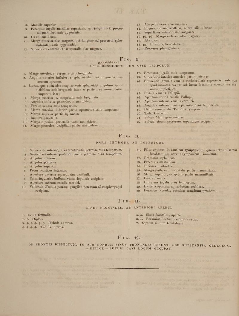 Maxilla superior. ^. | | sui maxillari ossis prius ! nofrontali ossis zygomatici. irorsum spectans. noidalem ossis bregimalis inter ac. parlem squamosam OSSIS temporum jacet. Margo exterior, s. temporalis ossis breginaus. Angulus inferior posterior, s. mastoideus. Pars squamosa ossis temporum. | Margo anterior inferior partis SguapapRda ossis temporum. Margo superior partis squamosae. FRI parietalis. Margo superior, parietalis partis mastoideae. Margo posterior, occipitalis partis mastoideae. - Superficies inferior, s. externa partis petrosae ossis temporum. Superficies interna posterior partis petrosae ossis temporum. Angulus anterior. Angulus posterior. Augulus superior. Porus acusticus internus. Apertura externa aquaeductus vestibuli. Fossa jugularis, bulbum venae jugularis recipiens. Apertura externa canalis carotici. recipiens. Diploe. AB OS FRONTIS DISSECTUM, 13. 15. 17. 18. Margo inferior alae magnae. Superficies inferior alae magnae. Ala parva. Pissura sphenoidalis. 9. 14. 195. 16. 17. 19. 11. 12. 13. 16. 17. 11. Eminentia arcuata canalis semicircularis superioris , sub qua apud infantes cavitas ad mmstar foraminis coeci, dura me- ninge impleti, est. Fissura canalis P'allopii. Apertura spuria canalis Fallopu. Apertura interna canalis carotici. Angulus anterior parlis petrosae ossis temporum. Hiatus semicanalis 'l'ensoris tympaur. ; 'Tuba Eustachii. Sulceus Meningeae mediae. Sulcus, sinum petrosum superiorem recipiens. Pilus equinus, in canalem tympanicum, quem transit Bamus Jacobsonii, s. nervus tympanicus, immissus. Processus styloideus. Processus mastoideus. lnucisura mastoidea. | Margo posterior, occipitalis partis mammillaris. Margo superior, occipitalis partis mammillaris. Pars squamosa. Processus jugalis ossis temporum. Externa apertura aquaeductus cochleae. Foramen, venulae cochleae transitum praebens. ó 6. 7 sinus Írontales, aperti. PForamina ductuum excretoriorum.