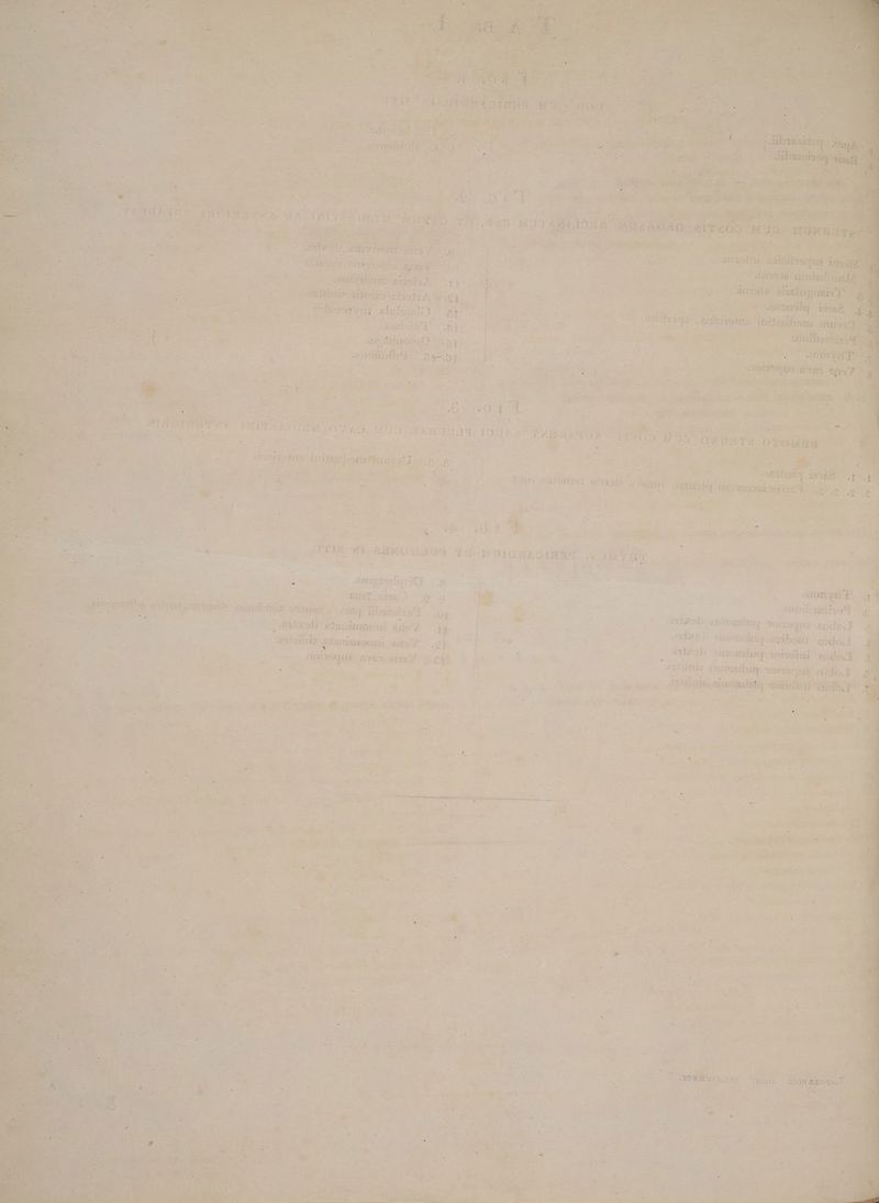 pr ES [isi Y di- Bes iO X S eg » A^ —-—- u £x M 3 * e 2 $4 H 5 1i hi CcOFfo  aa d i421 if Jd d d Ti fDÀ YHeolq x ii ! m do d 2t PI [STi ibo 3n I  f disi uq O11 t A6 rtmaieimi TU hod inE rape iti Ll ii 4t à ; O6 «* 8vg Off 5f s ü gi fs Sq ) JEOUE BIft B5 9i x dori E: t .Bü