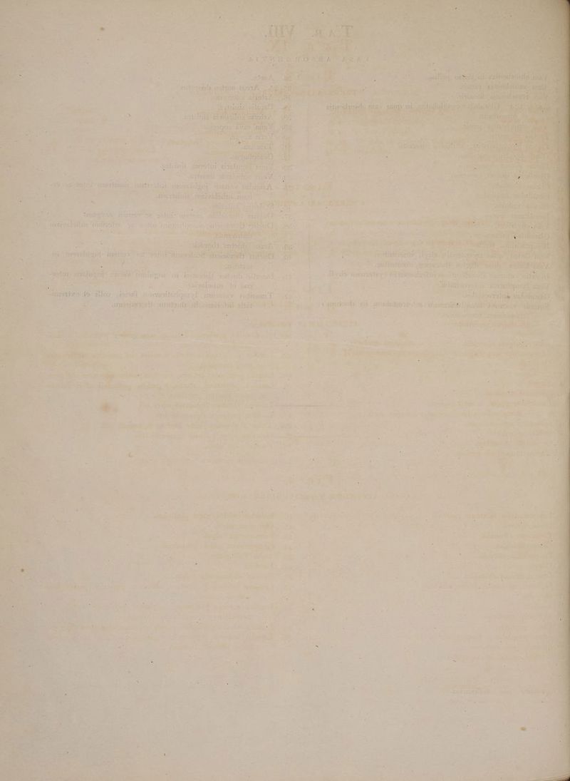 ^ Ji ^ S x SLM LM Nu St | 5 eic n EE L2 L 7 ; wpibibulus VHAE- : Di - wet Vetus