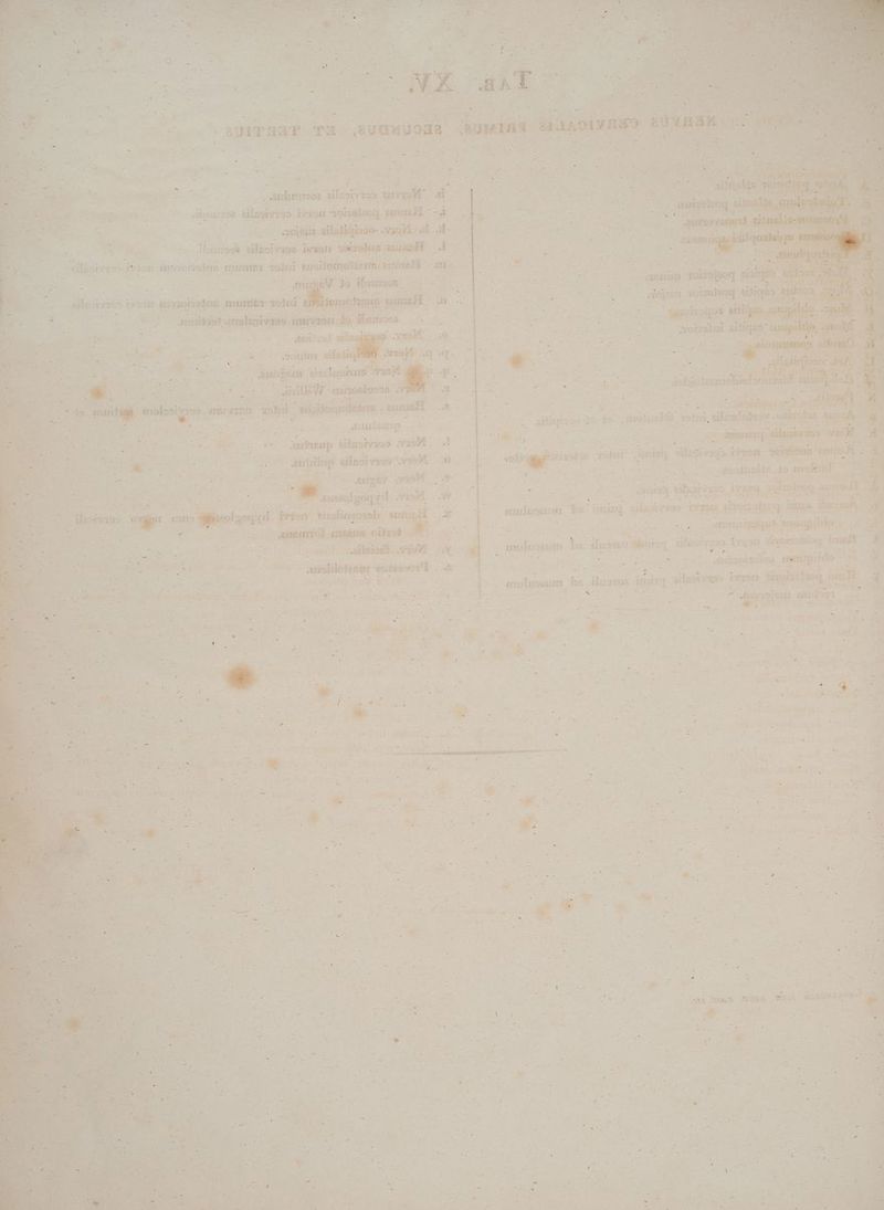 H N^ SL lagu pet s s : e TRU CIUE Po. iur unie. om Wr Py t ung d ua 4 | 3c. .- wpluseum be fuss: 1 mi bs iluoiue unir] silaobomso- pron 3 | acea Pati E E. WEE Y