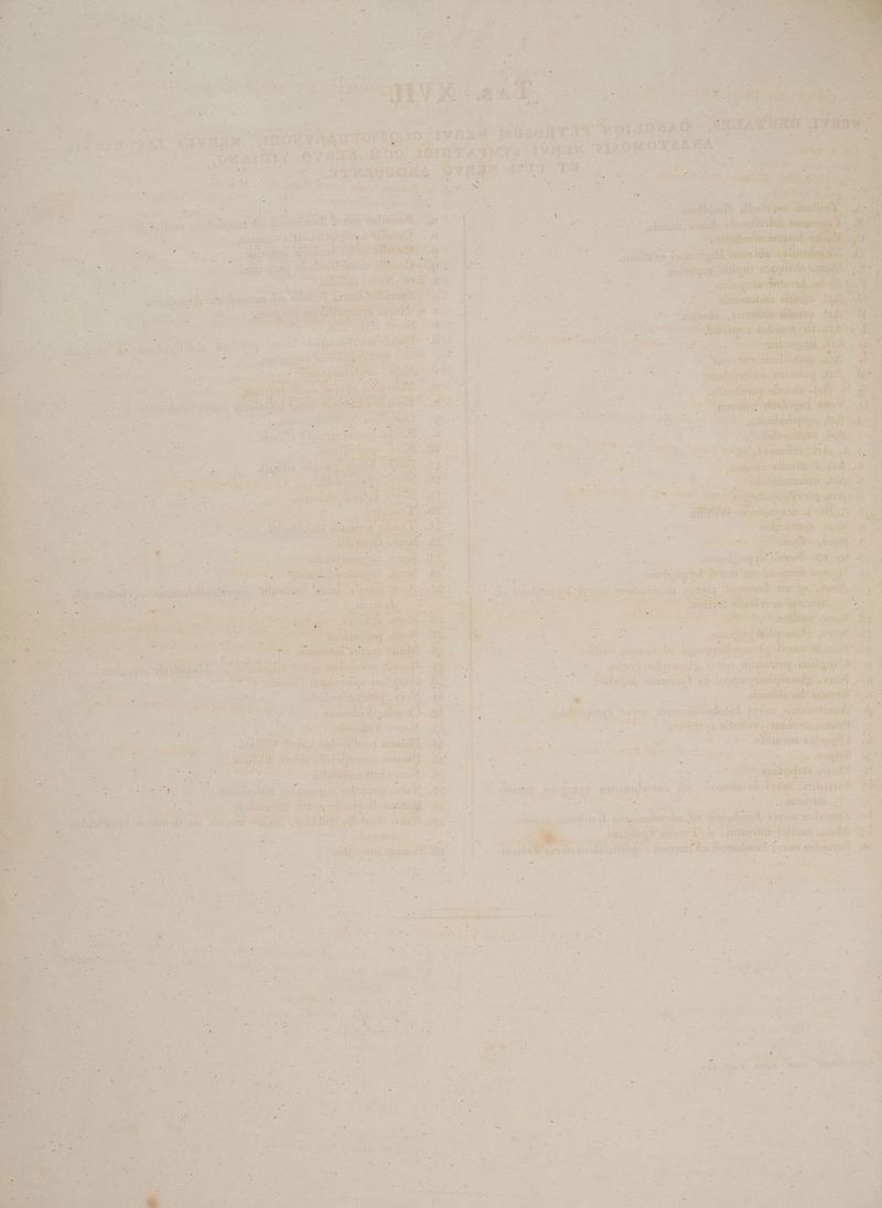 ai cit. — PA EE PCIE (wey Id cres di n jani fea NCMO MAR, PNIS SIR RNON t ii rabie t c hm OV tacos cu ipiis pteandcat d aM Bo complessi ennt Ira 3t er. Md NU p ME j^ ULIS IO: t s d Pa