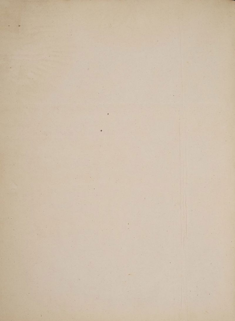 AES SAP ev UP I k VR 004 DELL Does l ; di oie es ica T *. A Ed