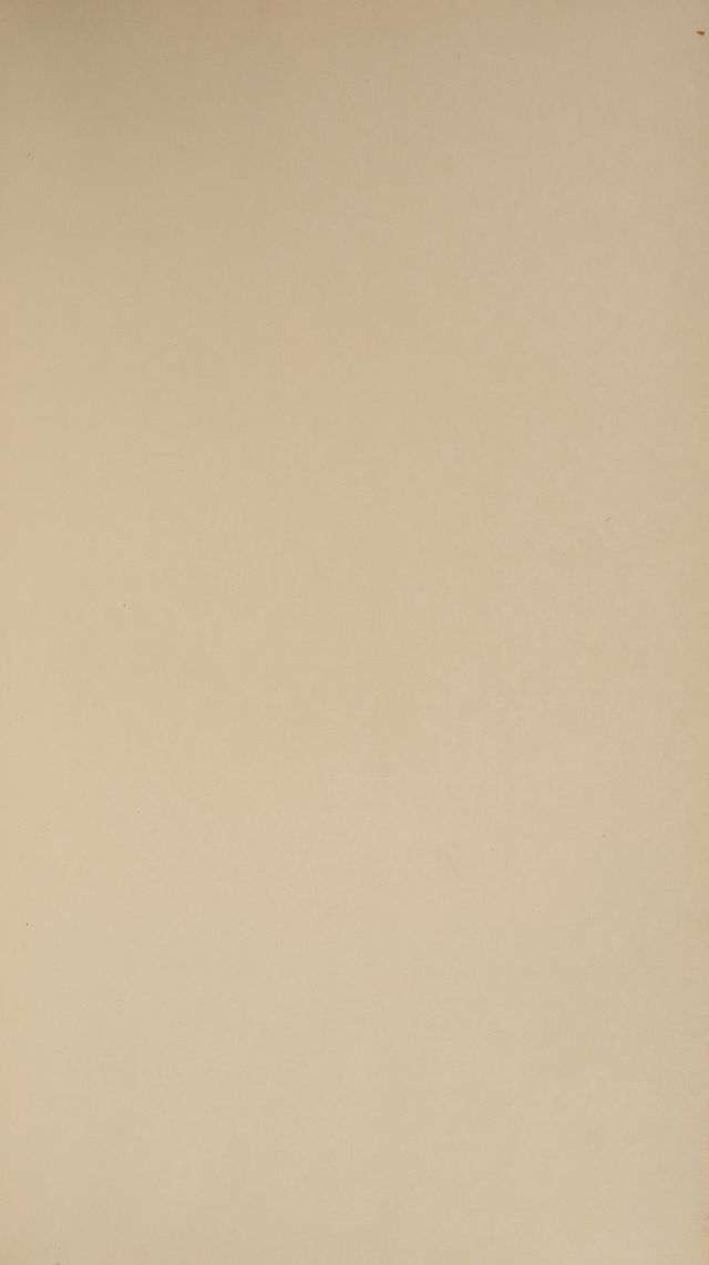 digitised image 3