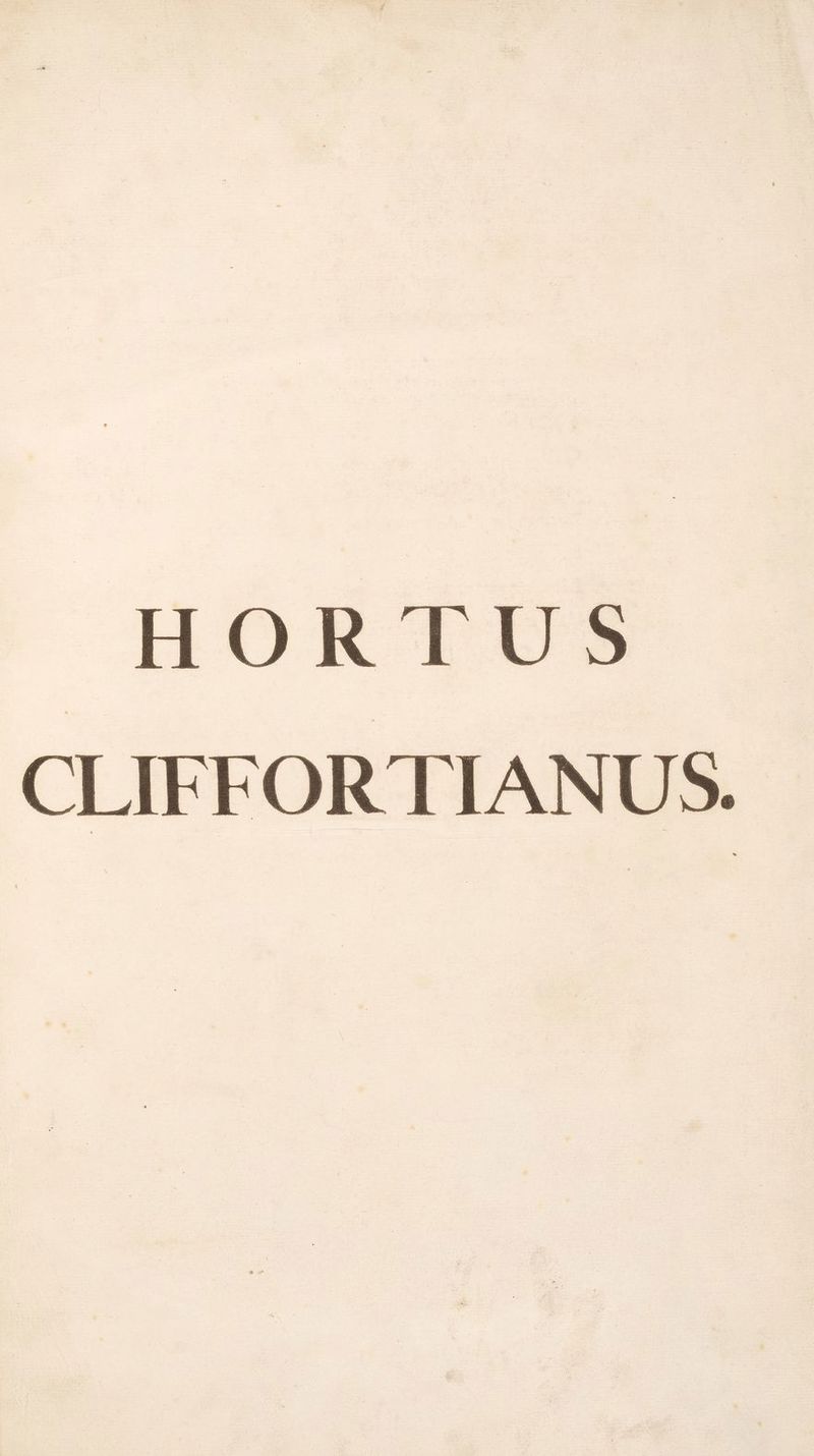 HORTUS CLIFFOR TIANUS.