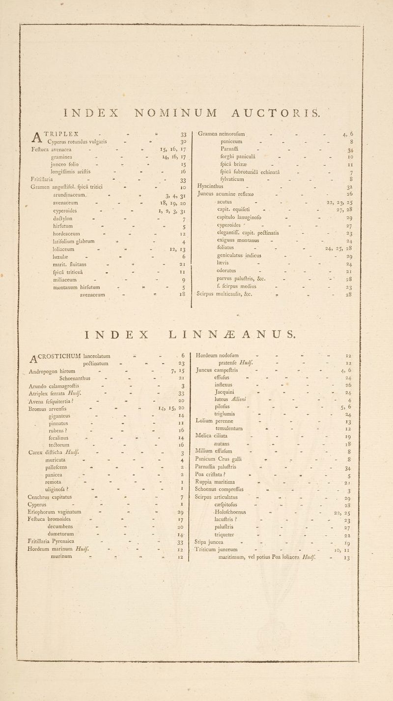 TRIPLEX - - z 33 | Gramen neiorofum , T x - 3510 Cyperus rotundus vulgaris - gir 30 paniceum -  nes E 8 . Feftuca avenacea - IE - Ix: 15,717 Parnaffi  E s 34. graminea - - - 145 20) 17 forzhi paniculá - $ : IO junceo folio . - - - IS fpicà brizz z x E II longiflimis ariftis - E - 16 Ífpicá fubrotundá echinatá D - 7 Fritillaria - o - EE 33 : fylvaticum - - - s 8 Gramen anguftifol. fpicá tritici - : 10 Hyacinthus s. : - z 32 arundinaceum, . * 3» 45 31 Juncus acumine reflexo - E - 26 avenaceum - -  18, 10, 20 ' acutus - ^ : 2i 29.25 cyperoides * d * 159.21 capit. equifeti quy z A 255 28 dactylon 2 - x 7 capitulo lanuginofo : - 29 hirfutum - - — 5 cyperoides * - UTE z 27 hordeaceum - - * 12 elegantiff. capit. pectinatis e S E latifolium glabrum : - 4 exiguus montanus - s : 24 loliaceum - * - 12; 13 foliatus -—. T - 245 08528 luzulz - - - 6 geniculatus indicus - E lcu marit. fluitans - Z - 21 laevis z - : 24. fpicá triticeá - - - il odoratus - - - : 21 miliaceum Es m H 9 parvus palufltris, &amp;c. E - a  montanum hirfutum : 2 : 5 . Í. fcirpus medius : : : 23 avenaceum - wc 18 Scirpus multicaulis, &amp;c.  | 3 d 28 x z NOE E OX LIONCON UBRB-AON OU. Jac ROS TICHEUN lanceolatum s e |. 6 Hordeum nodofum - ^ - pe I2 pecinatun — - z - 23 pratenfe ZTudf. - - oec Andropogon hirtum - - - 7, 15 | Juncus campeftris - - 2n : 4, 6 Schoenanthus ^ - - zx effufus - m - : E 24. Arundo calamagroftis ^ - - 3 inflexus - - E 2 26 Atriplex ferrata Hudf. - ^ - oo Jacquini e - eiie HOY: Avena fefquitertia ? - -  20 luteus. f/lIroni - MULT. Eg Bromus arvenfis - : - I4; 15, 20 pilofus * i » - 5, 6 giganteus ^ | - - 14. triglumis 21  - - 24 C M T $ zm Lolium perenne - : ^ 13 rubens ? - - - 16 temulentum :  x 12 (cA PE QE E » v E ;4 | Melica ciliata * ^ * : 19 . tectorum - *: *: 16 nutans - - E d 18 Carex difticha Hudf. - T7 2e * 3 | Milium effufum - - : - 8 muricata - - E - 4. Panicum Crus galli - - - ee pallefcens E S - - 2 Parnaffia paluflris e a - : : 34 . panicea o » - - 24 .Poa criftata ? - o- z - ^ remota. ^ - - - 1 Ruppia maritima - - RR CoA ERR RS C RS . uliginofa ? ^ - 0 - i Schoenus compreffus : OM i d Cenchrus capitatus - - | - u ocirpus articulatus m e : - 29 Cyperus : pute * e E czefpitofus - - ^ d 28 Eriophorum vaginatum ^ ^  29 . Holofchoenus - - z 22, 25 Feftuca bromoides - - - 17 lacuftris ? - EET - - 22 decumbens P ^ B 20 paluftris - : - - 25 dumetorum - L4 3e A - 14 triqueter - - - : - 22 Fritillaria Pyrenaica ^ - ^ 33 Stipa juncea z : r4 : * 19 Hordeum marinum £a4f. -, - - 12 | Triticum junceum -L , : à 10, II murinum  .  ^ 12 maritimum, vel potius Poa loliacea Zz4/. - 13
