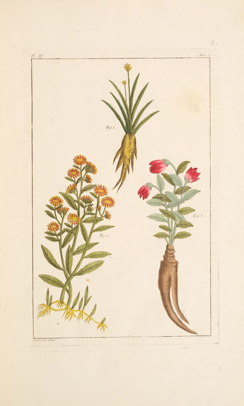 into ngenttem nus NS œireegn en endeee Né d f DA Ve EE: CU nas 4 AA tentes seen verse ne SON re UE TE LEA DESERT ENT PT PILOTE este D É = LE mi PAR LTPICETT ES ot Eos Cnil PE TETE NT LITE MATE PMP OT TT SC on nË ee » Peint a la Cane,