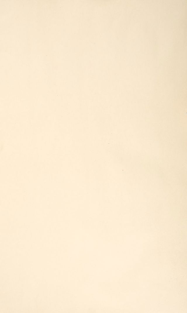 digitised image 3