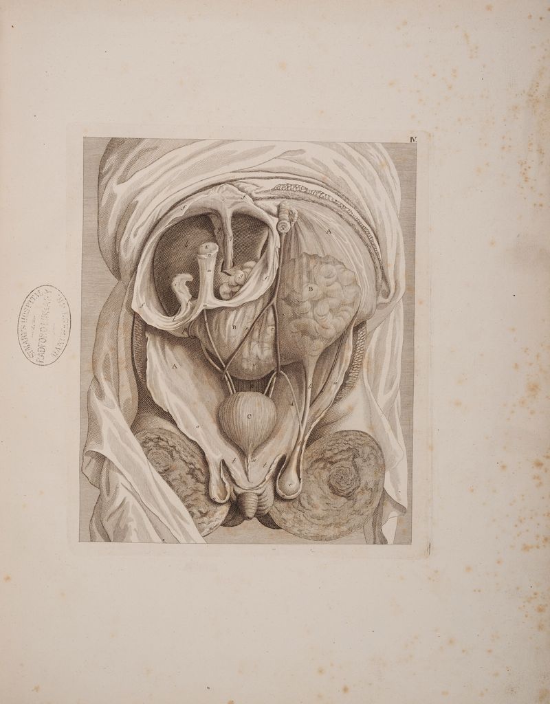 1) . z 1} ) = IE ° ß x A = / IH 7 H I A, n 7 N u DIE TER A => Z WIRT: = SSS N LEER AR, = RZ: VAR U a MM I M M \ / \\ 1 N „ 1) N n N \ (N NN IE ÄNN N N N \ \ \ a U MW N N NI II NS SI N INN T I } N SERIE KENN AN N 6 „ur — N \ S POL SS III RR, KÜIIIIUN EIS SIIIIIII TIES : = SS == N NN N KEIISSSS —— SS Pi f or