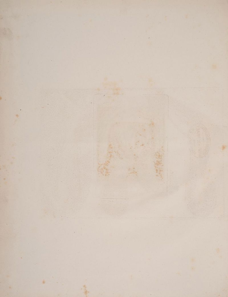 vorne rs N a er, > FE er ee! RE a RE N res Eh e BR 2 a he ae Bien an nn rn I ern une De So U 7 . e R 17 ä “5 f De 2, » e) E Fi *. er u E Er Pe B Be A era ig Bere S   x .— ‚ 3 RZ ie R : #7 ”. : “ Er r . - af E @ / , £ . 4 N . 57 4 »* A : r B Sa N - A £ E z ? ar Fr - f hr 3 f “ R Et eK B er x e ee j j : Br 4 A ö a ea Eh EN R Are ur . . j / A: wa ER, Vgl ee we PTRROFER - , ; ö P 2 = Are “ a = a 8a Et E hi RE es ' ; Are % E4 Ku ae, i 5 an ne 3% MERr en may Da Ara hr ee ee rt a E4 ea ar De j u ’ ok I: Per Pare a u Be ne en bet bo ee > ar , Y UEn d4 “ ‚ - 1, Eh i - 4 b d } Kyr ST RE a a a a A R i | } u. EEE: Mr, in a, ex - x { \ 3,7 { er