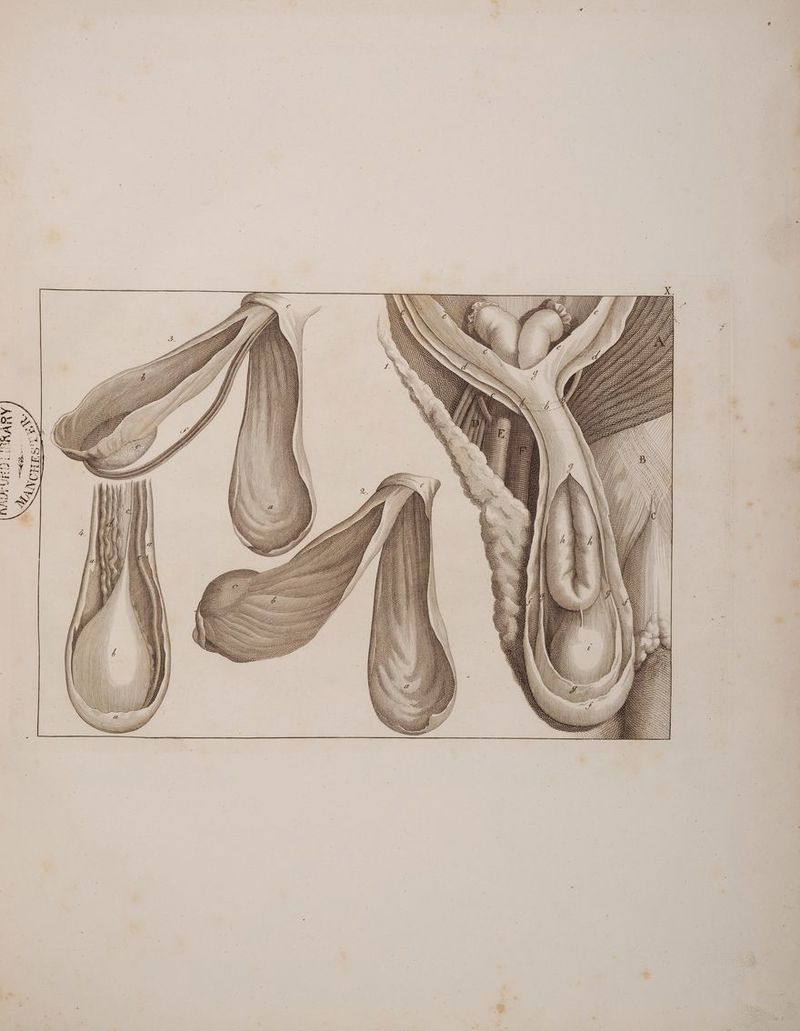 = NR, NT, AN IRIÜNN U Vi) \ = — um nehtl, aut! 0} (N 0) (Y) (N N) N N N NIIT N N () N MA W ON N U N et Gm m N ee, —, \) en N D——F NN b == RRNNÄQUZ =R NUN FIN NUTZ = N N > ENGE Ga = u GG —. BESSEETZEBD > I = 4 >> == B=>— =: >> e=2>3 \ P>o>< Ps E><S>s en e-=>>52 r->52 BS2232 \ \ S S ISIN SNÄIIIISITISITISTISSRESTETIT III, III S SIIÄÄÄÄIS SESESISTTIISTTTHTIIISTITTIIITSSETE SI SS SIT SSTITIÄÄRUI SETS IS ZE : SISSITIESTUNNNIITT: RU IURIIIURRRRRRRRRRRURQQ STTURRRRRTRUÄURRT RR RRRRR RAR N SSR ZR y N SD SS SS N NN N RN N N 23 = z2 u N Mi RN n N YANKSS INN . N ul j \ NSW Ah ii IN IN NN X „ IVO DRK ET, WANNE WEL RR azi 7 RB, VERIDE 27 y NS U f m Sn MM Hi