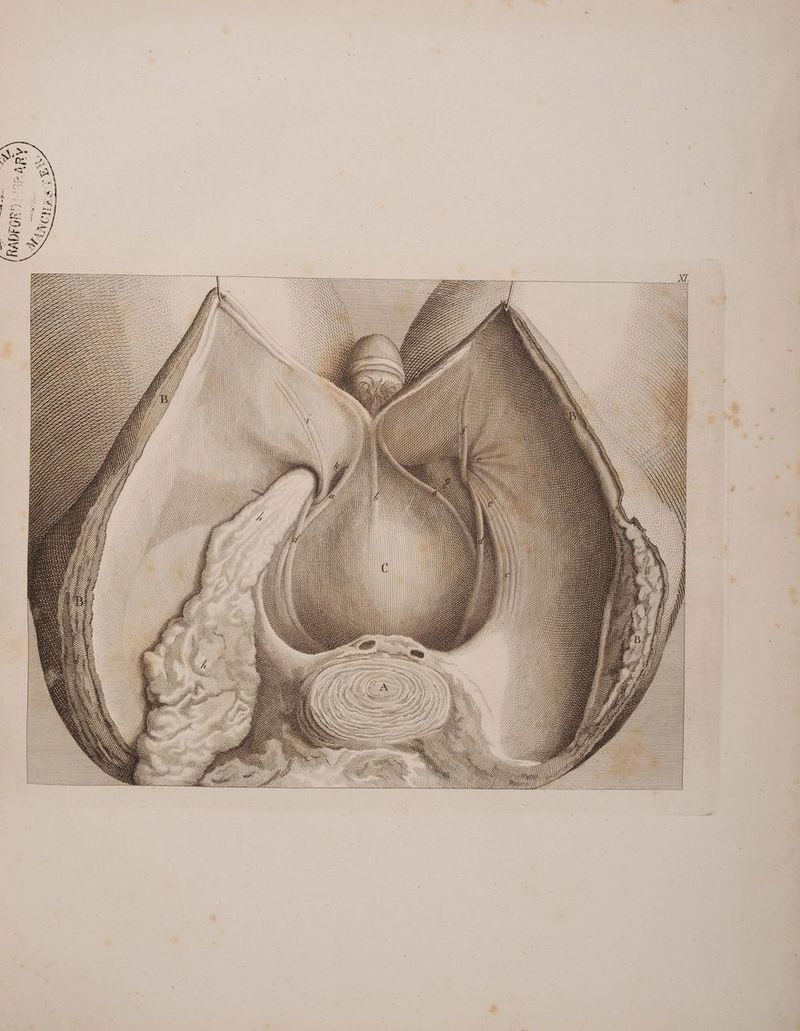 v Q fe Z e Akr ID: - FO Kar SEAN EN en % Ü [LE PUR, { KIEL} III #4 GIAPE RAP DIELER Ds ZEAR. BODEE np, A IPETE GEIRAHP I EB: ® GH ZH DUDARDESFIHE DEP. DITEHERELEIIZ N DULV N IRRA N IN N NIT, N RL N II RR # PR Ars 7 LA PER BEE, 7 FH 17 HF BER0R, AEarD: 2 7 TE ma! De = = SPS III a III ES 3 5 2 Er SISSSSTRÄÄÄSRRRRRRRRRRRRRN N 7/0000 84. SIRIIIRN / AN N) NSUISSONS N \ \N N TÜR &amp; a M MA Incnauc ern AR ESSS = = ZI SIIIQ \ ER KANU: KANN 22 : . S Se GGG GE z 7 £ ; 0 7% EL 2 BETZ I; F 4 DV’ >= 7 - ==, Bo AT | Ss = —— He ee az N N N RS \ RN N N NN NN N N N > PAR o 2 7