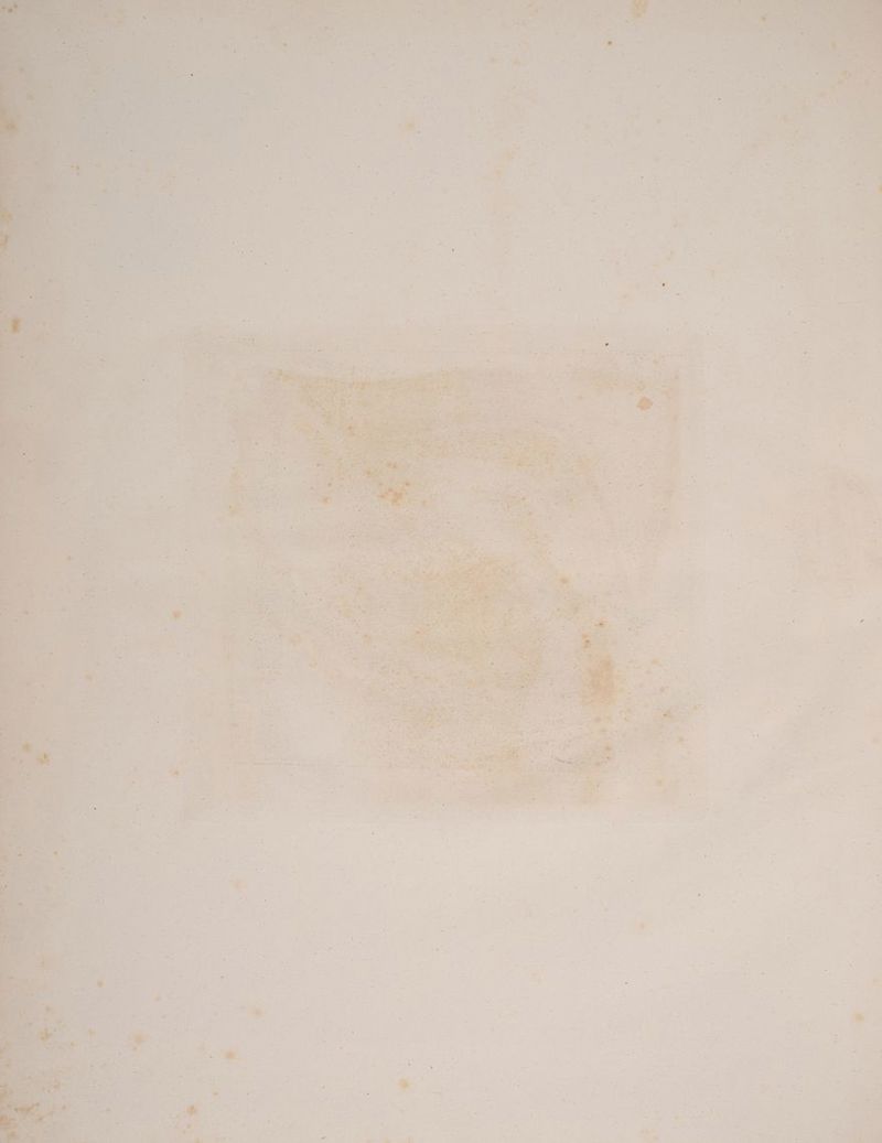 sr : an, er we . a TR FOR J > . i t ze Band er BE RE + er AT Pa hr NE EIN NT