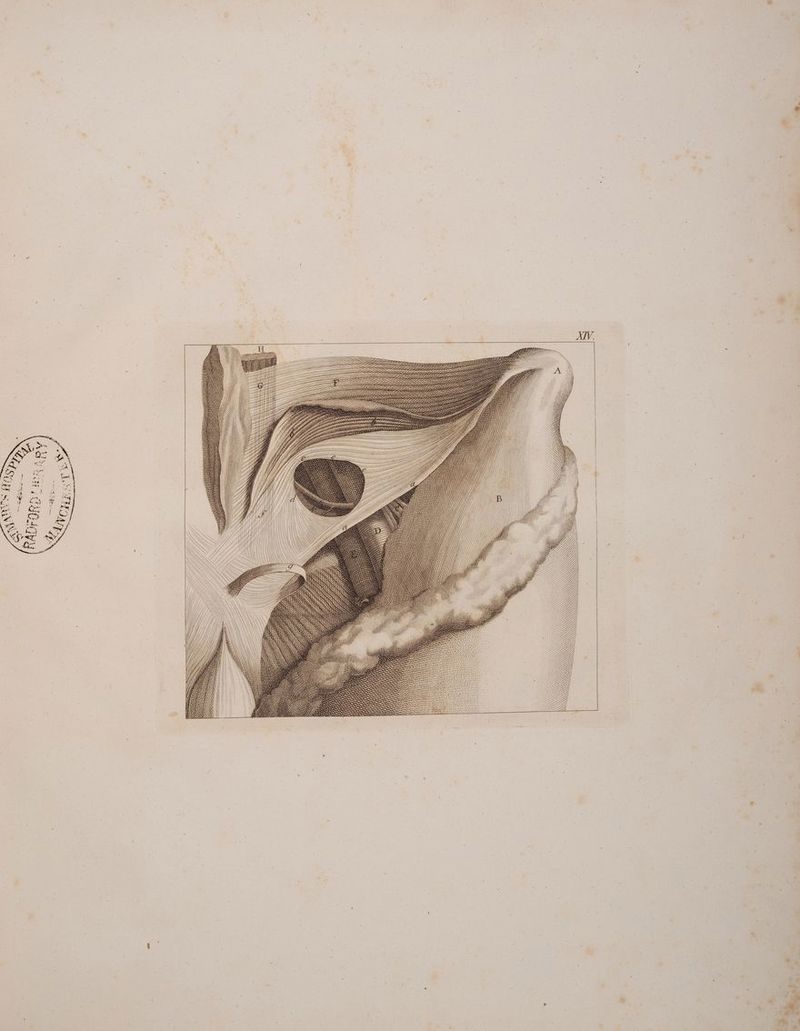 u Sn IE IS Im IIISISISSS SIE = Sn ee > SIIIS SS u u I.» IIIIS ——< Searer! Ss Ss SIT SUN YH # 1% SSSITTIIISE SS Wh HH HH DIA 7 WUgER, GO GB 7 22 ZRE Rh N N IS (X N X} MINOR M AAN N) W SR “. SZ ZA: 7 GE; — Se ED SS,