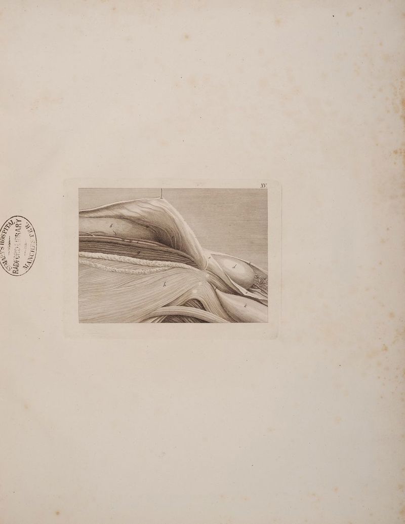 7 . < z % ‚ = $ a [4 \ e \ ’ E * ’ “ . - >» N II 5 — II III; = III ITINRRÄÜÄQQQ ? IQ RU III N N + N \ N r N 3 ANNKN SRÜÜN — : - NQ NN R N Q = RUN = N II Ni TRÜÜU » RÄT HIIIHUN OR vl IRQ, \ \ N IIINRAR, : S NIIT N ARRDNESSIITT RIITTIIT S BIN OIRTTÄR, N _ N \ \ EEREITUIIIN IR SRÜRRUÜUUQQ - &amp; Y TITTEN IIRUÄNERNIN € s - -i Pr ( z I r > u * o nn 2 = \ “ + f a P. g ni . - m u ” “ 3 B = N 5 a € / f : / - #* x ar : “ &amp; R . x > ” N ? - / - _ B . . _ 2 k \ \ .