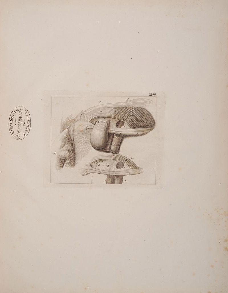 7 GL GE EEE: I GG es, on SGG, Gl NEE WIE DL UM VRR, ED: DEE WEH DRG: Y L 72 FG 17 I MH TG G WEGE G WE LG GEHE ZH GER. CE DE, HH, ca a KG: GE ZZ VE: IN) G a GGÄL WE GER: ARNG 7 IL, NT: a, N} NAHE; BE \ NH: DEZ: g TE IB HN: GG TEEN IT; FÜ WERTE: VG CR GER) HN NG HET ER, N N; VHRGL DH IL /) IL N IT I: An WANNE HAT ul 9 NEE HH # h VA HH A) IDGÄNL ’ FW HR; HH Nie INH / IND; N VAN: DHEH f / , NDR: Ih, HL, HH ZH HE I HN: HH, DE) VAN N A KHRH IH Q N nn iR RR IN RN TÜR N N N N NN REN NUN z ZA 27 IL 2-Z.