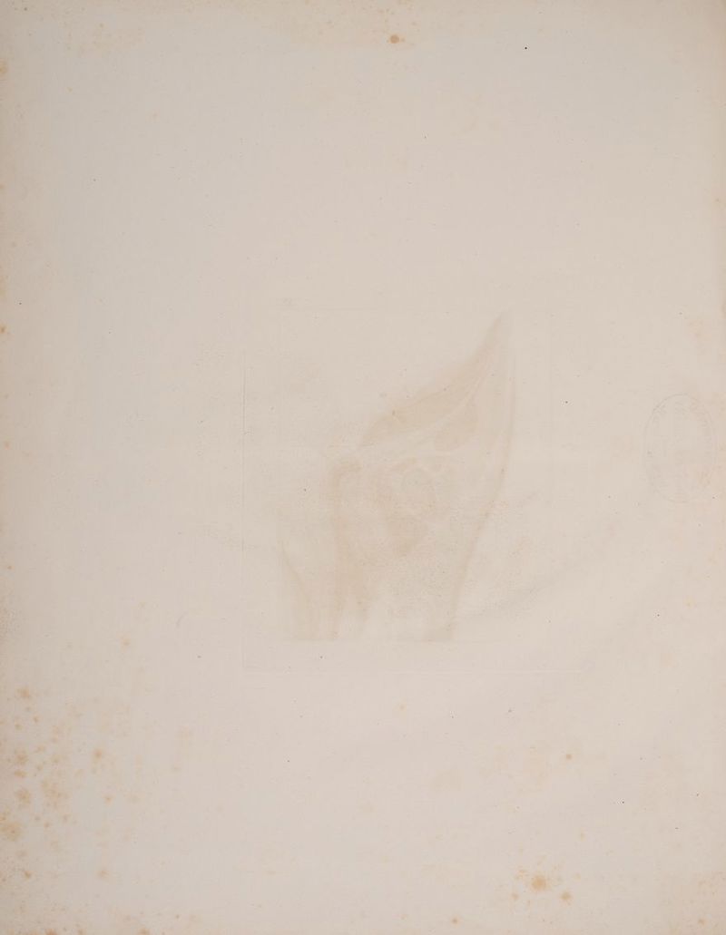 nr ‘ % + ‘ u u 2 “