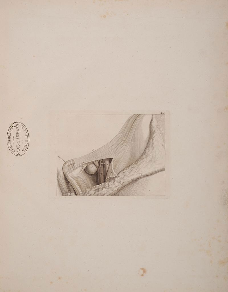 NICH » Mi RM SITZEN SER STEILE N) ) 1 » 08 EEE, HH Boy ai fh (71 VAREL N 1! ee S Era DEE AST