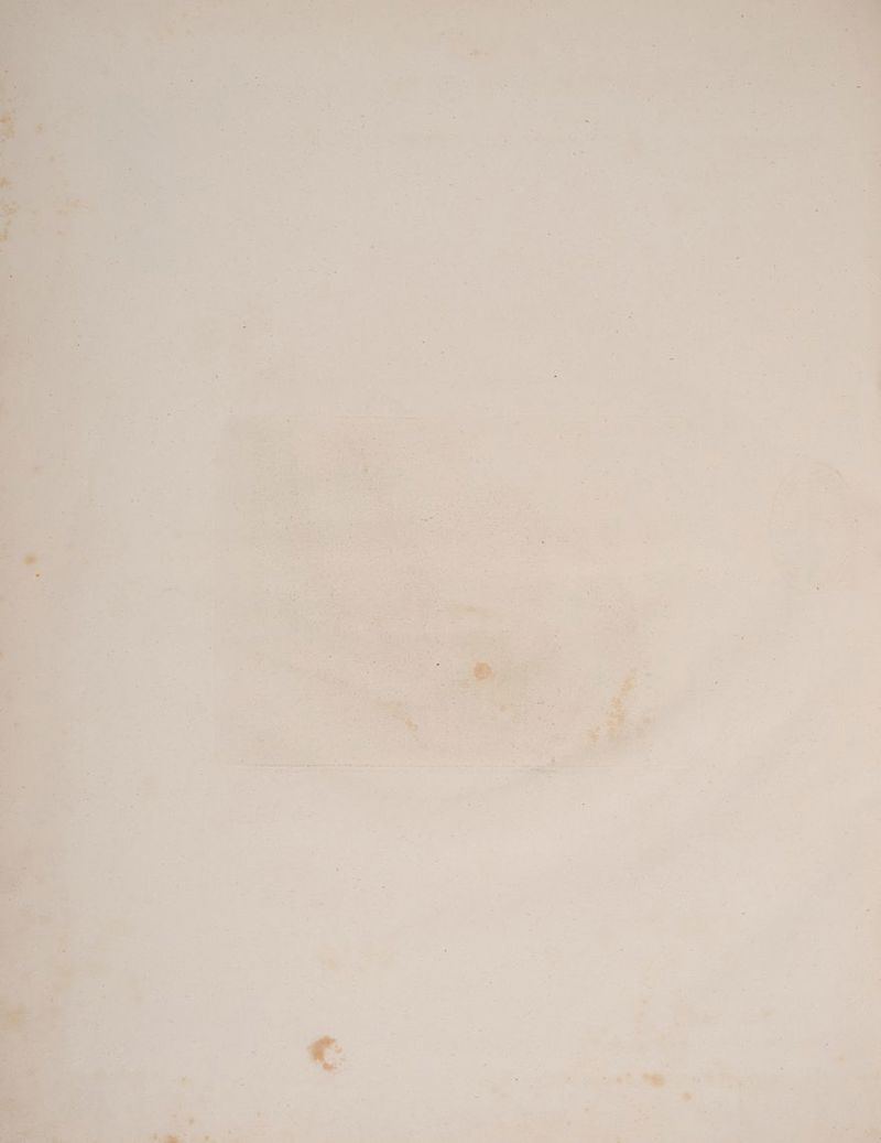 ‘ _ R ee irren Ha D u D BT PIE u ER A A 4 a *