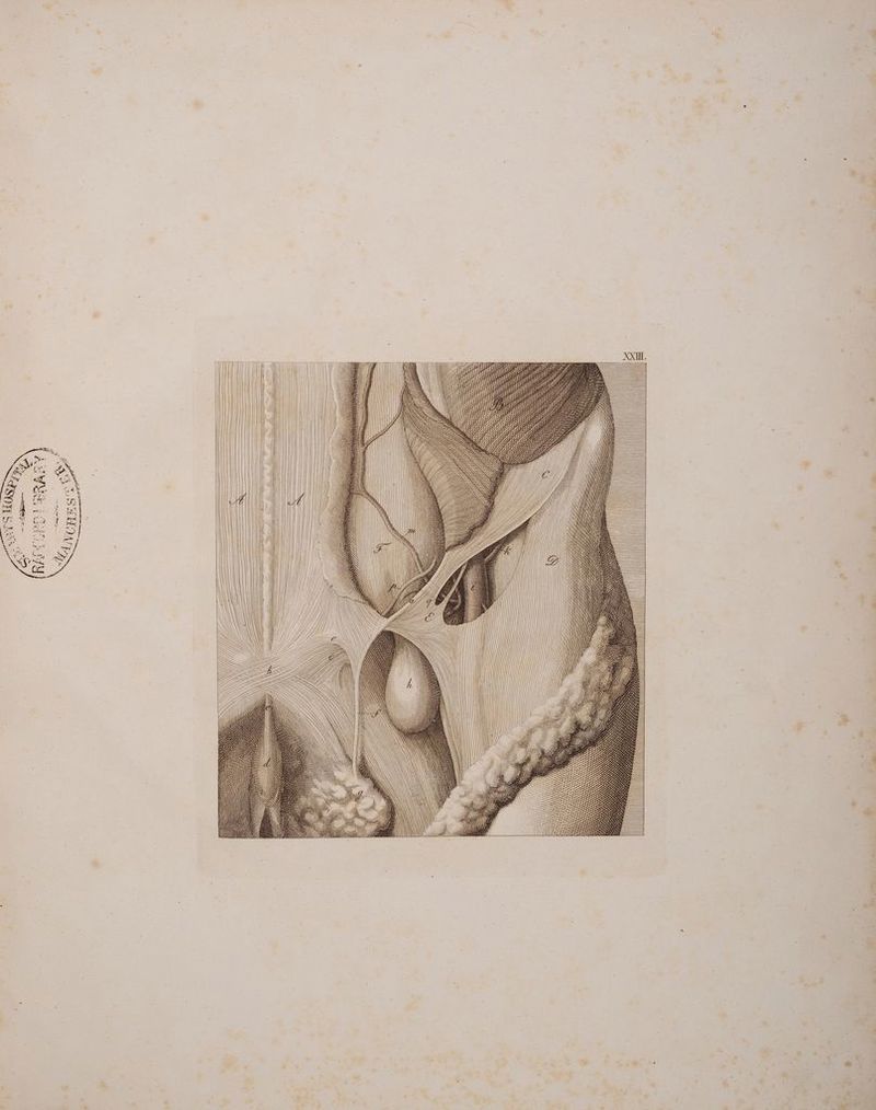 ! = Ind ——— NV a | SURT LA UL 2 re SI MERTTH : | 2 272 —— ne 42 + IF: ’ / 2 EZ FE cz Ze = 2: Er SEND, > S SrXE N N r 23 >, | | aa .“ u: II N BR SE III N N N L IHR ezler IH DE ker SR ep 5% 27 ee a a N II ISIN ZEIT III IIIII SZ I NIIIÖ ze 2 tz BL N \t Ts N N \ W ’ A BELERELL. EE GT, = $ TH. GH GEH THE DE PR GRLEE \y RT IN NY) AN N K\ f > | ij. | = - GG A I ee ü U 2 = 7 2 DH, ; \ — p — > _ > > Z 6 N x = < S | = B en —Zı &amp; Pd Se EIG CH HE KA AL 7 f dr DL, / T— = = = TG R \ IE z 2 = TE SE = \ _— =S 2 a z < z Le ne e< 5 3 Ss + e / ”