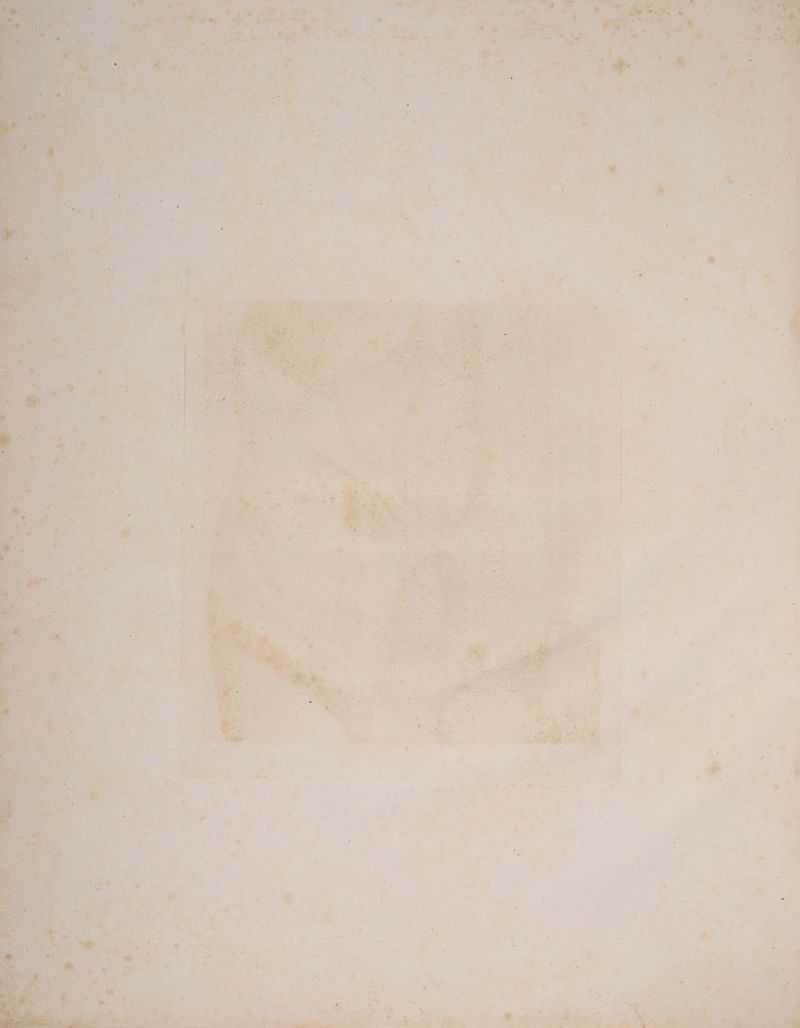 rm \ Bo nr, See vn Be