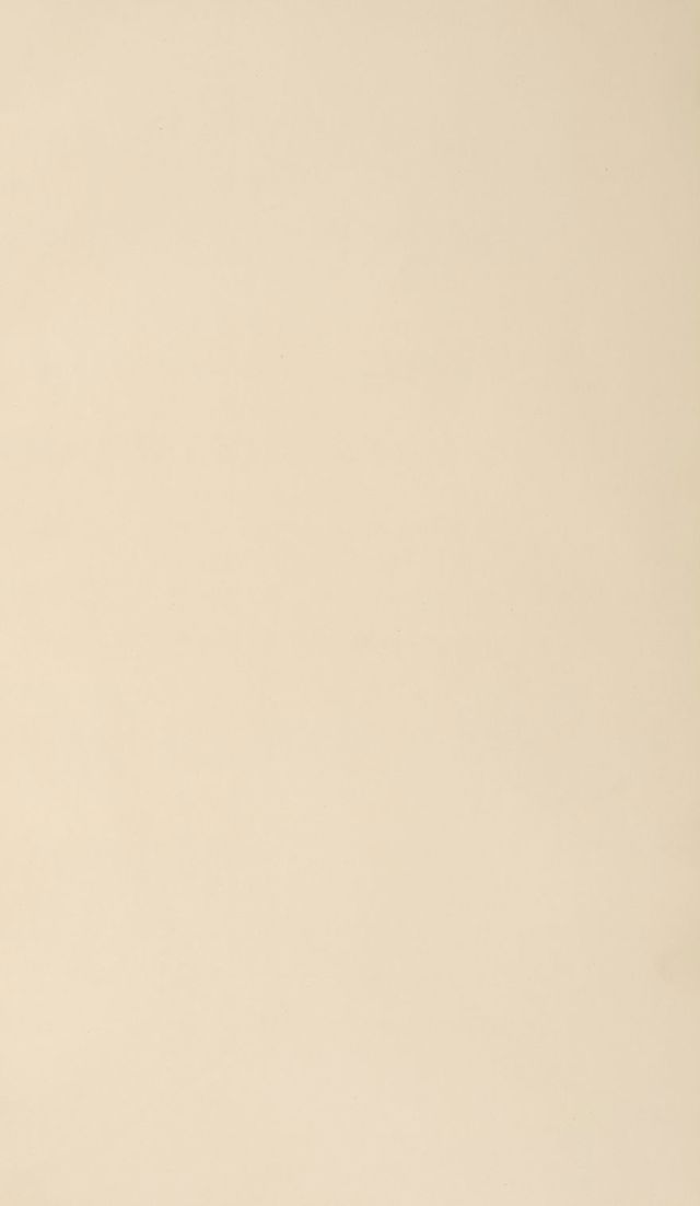 digitised image 3