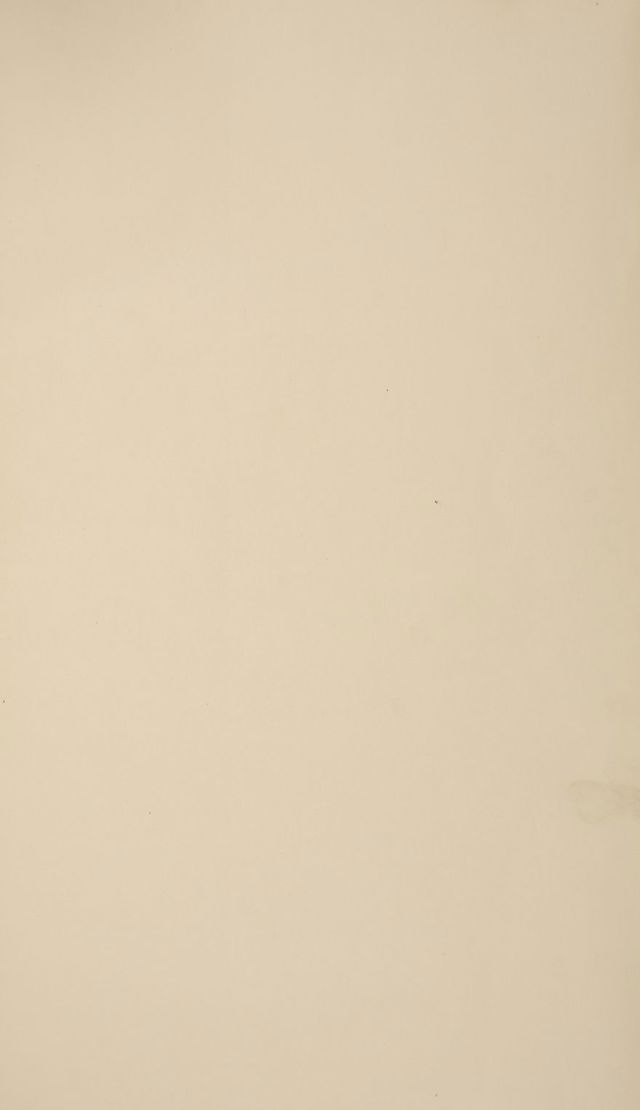 digitised image 3