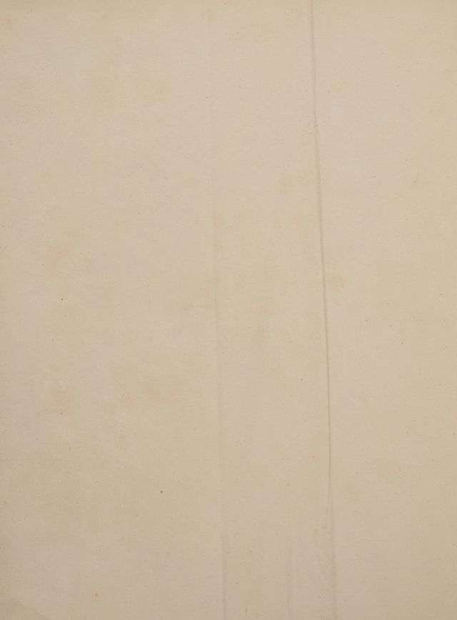 digitised image 2