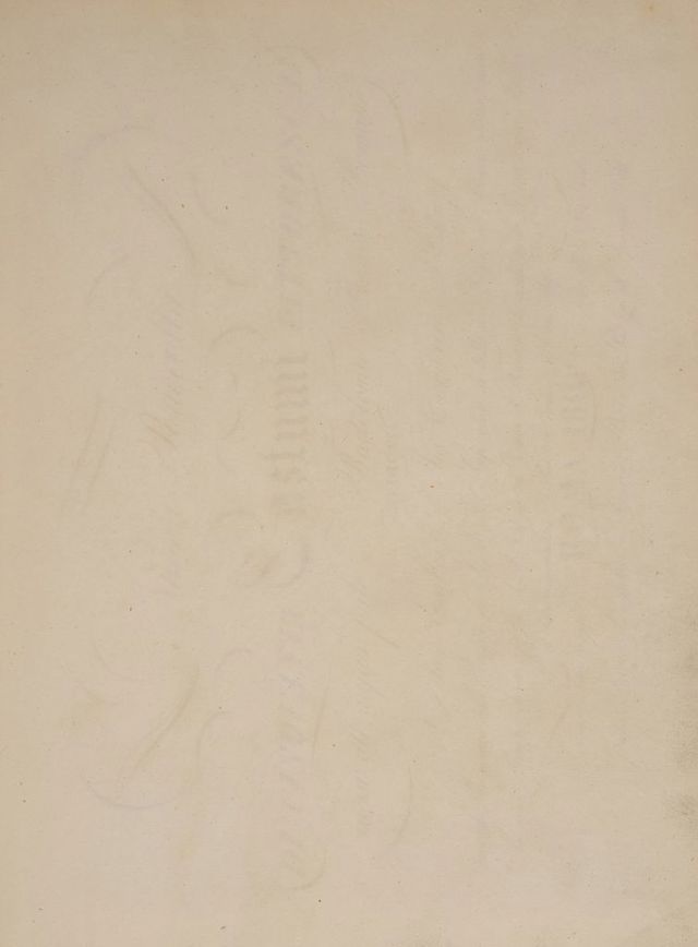 digitised image 3
