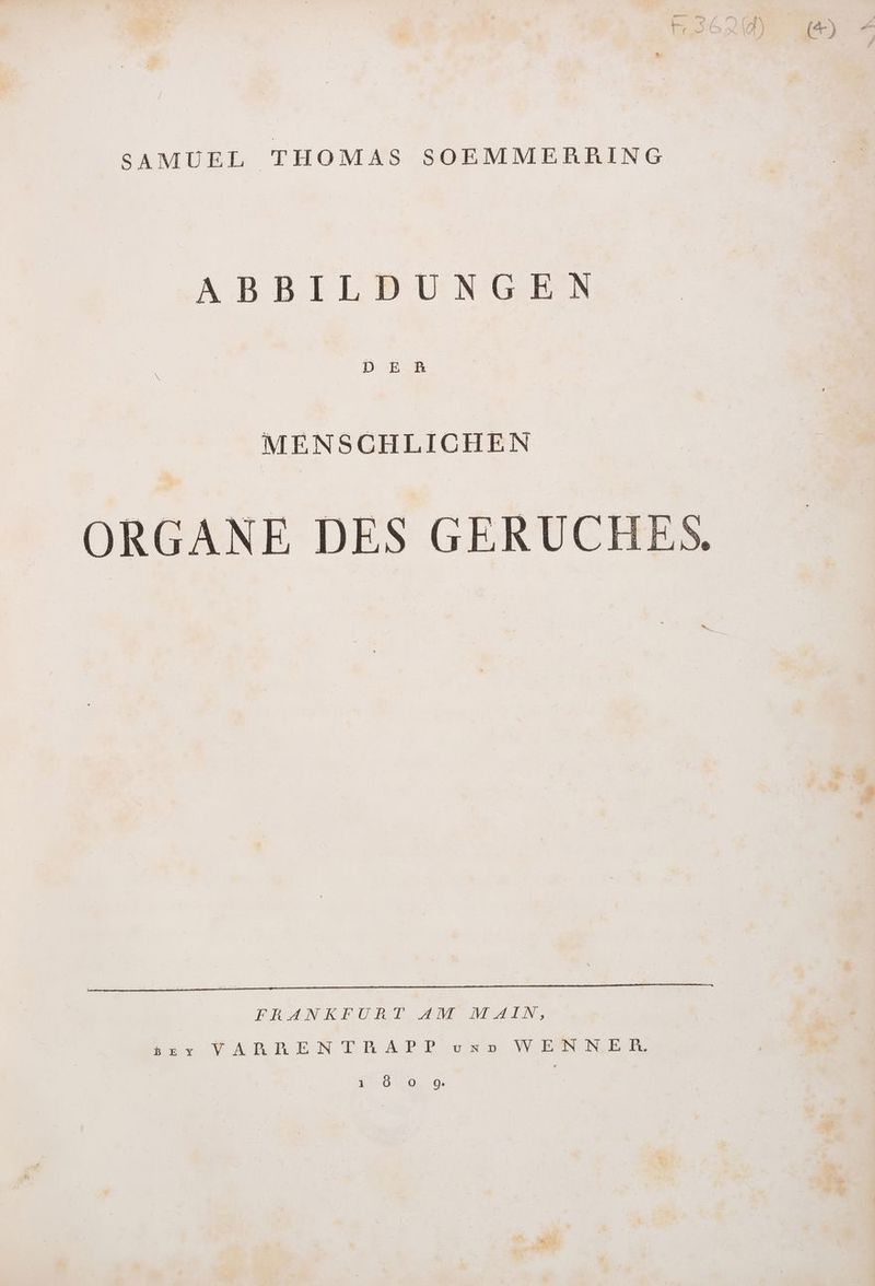 SAMUEL THOMAS SOEMMERRING ABBILDUNGEN MENSCHLICHEN ORGANE DES GERUCHES, | na ’ ER sale u se ee BEANKEURT #M MAIN, EA BTBEEN TR ABLE ur E WERT NEE
