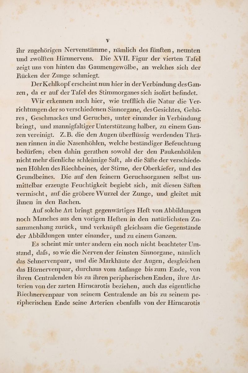 = ihr zugehörigen Nervenstämme, nämlich des fünften, neunten und zwölften Hirnnervens. Die XVII. Figur der vierten Tafel zeigt uns von hinten das Gaumengewölbe, an welches sich der Rücken der Zunge schmiest. DerKehlkopf erscheint nun hier in der Verbindung des Gan- zen, da er auf der Tafel des Stimmorsganes sich isolirt befindet. Wir erkennen auch hier, wie trefflich die Natur die Ver- richtungen der so verschiedenen Sinnorgane, desGesichtes, Gehö- res, Geschmackes und Geruches, unter einander in Verbindung bringt, und mannigfaltiger Unterstützung halber, zu einem Gan- zen vereinigt. Z.B. die den Augen überflüssig werdenden Thrä- nen rinnen in die Nasenhöhlen, welche beständiger Befeuchtung bedürfen; eben dahin gerathen sowohl der den Paukenhöhlen nicht mehr dienliche schleimige Saft, als die Säfte der verschiede- nen Höhlen des Riechbeines, der Stirne, der Oberkiefer, und des Grundbeines. Die auf den feinern Geruchsorganen selbst un- mittelbar erzeugte Feuchtigkeit begiebt sich, mit diesen Säften vermischt, auf die gröbere VWVurzel der Zunge, und gleitet mit ihnen in den Rachen. Auf solche Art bringt gegenwärtiges Heft von Abbildungen noch Manches aus den vorigen Heften in den natürlichsten Zu- sammenhang zurück, und verknüpft gleichsam die Gegenstände der Abbildungen unter einander, und zu einem Ganzen. Es scheint mir unter andern ein noch nicht beachteter Um- stand, dafs, so wie die Nerven der feinsten Sinnorgane, nämlich das Sehnervenpaar, und die Markhäute der Augen, desgleichen das Hörnervenpaar, durchaus vom Anfange bis zum Ende, von ihren Centralenden bis zu ihren peripherischen Enden, ihre Ar- terien von der zarten Hirncarotis beziehen, auch das eigentliche Hiechnervenpaar von seinem Centralende an bis zu seinem pe- ripherischen Ende seine Arterien ebenfalls von der Hirncarotis