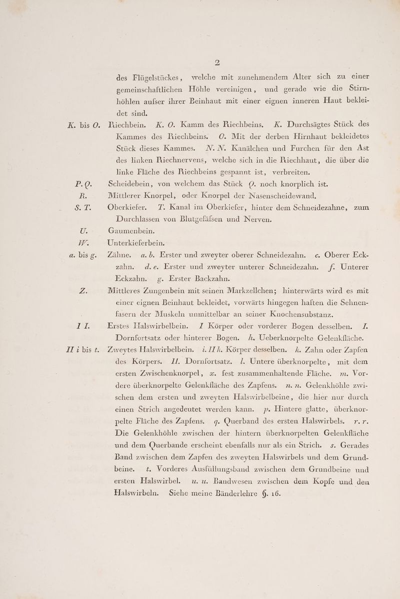 K. bis ©. 14: IT vbıs t. 2 des Flügelstückes, welche mit zunehmendem Alter sich zu einer gemeinschaftlichen Höhle vereinigen, und gerade wie die Stirn- höhlen aufser ihrer Beinhaut mit einer eignen inneren Haut beklei- det sind. Tiiechbein. K. O. Kamm des Riechbeins.. K. Durchsägtes Stück des Kammes des Biechbein. O0. Mit der derben Hirnhaut bekleidetes Stück dieses Kammes.. N.N. Kanälchen und Furchen für den Ast _ des linken Riechnervens, welche sich in die Riechhaut, die über die linke Fläche des Piechbeins gespannt ist, verbreiten. Scheidebein, von welchem das Stück O. noch knorplich ist. Mittlerer Knorpel, oder Knorpel der Nasenscheidewand. Oberkiefer. T. Kanal im Oberkiefer, hinter dem Schneidezahne, zum Durchlassen von Blutgefälsen und Nerven. Gaumenbein. Unterkieferbein. Zähne. a.b. Erster und zweyter oberer Schneidezahn. c. Oberer Eck- zahn. d.e. Erster und zweyter unterer Schneidezahn. f. Unterer Eckzahn. g. Erster Backzahn. Mittleres Zungenbein mit seinen Markzellchen; hinterwärts wird es mit einer eignen Beinhaut bekleidet, vorwärts hingegen haften die Sehnen- fasern der Muskeln unmittelbar an seiner Knochensubstanz. Erstes Ilalswirbelbein. 2 Körper oder vorderer Bogen desselben. 7. Dornfortsatz oder hinterer Bogen. A. Ueberknorpelte Gelenkfläche. Zweytes Halswirbelbein. z./Ik. Körper desselben. A. Zahn oder Zapfen des Körpers. ll. Dornfortsatz. 1. Untere überknorpelte, mit dem ersten Zwischenknorpel, x. fest zusammenhaltende Fläche. zm. Vor- dere überknorpelte Gelenkfläche des Zapfens. n. rn. Gelenkhöhle zwi- schen dem ersten und zweyten Halswirbelbeine, die hier nur durch einen Strich angedeutet werden kann. 7. Hintere glatte, überknor- pelte Fläche des Zapfens. g. Querband des ersten Halswirbels. r.r. Die Gelenkhöhle zwischen der hintern überknorpelten Gelenkfläche und dem Querbande erscheint ebenfalls nur als ein Strich. s. Gerades Dand zwischen dem Zapfen des zweyten Halswirbels und dem Grund- beine. t. Vorderes Ausfüllungsband zwischen dem Grundbeine und ersten Halswirbel. w. u. Bandwesen zwischen dem Kopfe und den Halswirbeln. Siehe meine Bänderlehre 6. 16.