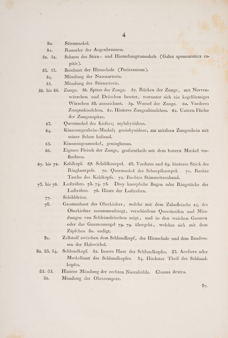 63. 64. 81; ö6. 4 Stirnmuskel. Piunzeler der Augenbraunen. pitis). | Beinhaut der Hirnschale (Pericranium). Mündung der Nasenarterie. Mündung der Stirnarterie. Zunge. 56. Spitze der Zunge. 57. Fiücken der Zunge, mit Nerven- wärzchen und Drüschen besetzt, worunter sich ein kegelförmiges Wärzchen 58. auszeichnet, ög. Wurzel der Zunge. 60. Vorderes Zungenbändchen. 6ı. Elinteres Zungenbändchen. 62. Untern Fläche der Zungenspitze. Quermuskel des Kiefers; mylohyoideus. Kinnzungenbein-Muskel; geniohyoideus, am mittlern Zungenbein mit seiner Schne haftend. | Kinnzungenmuskel, genioglossus. Eigenes Fleisch der Zunge, grolsentheils mit dem leztern Muskel ver- flochten. Kehlkopf. 67. Schildknorpel. Püngknorpels. 70. Quermuskel der Schnepfknorpel. Tasche des Kehlkopfs. Luuftröhre. 73. 74. 75. Luftröhre. 76. Häute der Luftröhre. Schilddrüse. Gaumenhaut des Oberkiefers, welche mit dem Zahnfleische 24. des 68. Vorderes und 69. hinteres Stück des 71. Prechte 72. Liechtes Stimmritzenband. | Drey knorpliche Bogen oder Ringstücke der Oberkiefers zusammenhängt, verschiedene Querstreifen und Mün- dungen von Schleimdrüschen zeigt, und in den weichen Gaumen oder das Gaumenseegel 79. 79. übergcht , welches sich mit dem Zäpfchen 80. endist. Zellstoff zwischen dem Schlundkopf, der Hirnschale und dem Bandwe- sen der Halswirbel. Schlundkopf. 82. Innere Haut des Schlundkopfes. 83. Aeufsere oder Muskelhaut des Schlundkopfes. 84. Höchster Theil des Schlund- kopfes. Hintere Mündung der rechten Nasenhöhle. Choana dextra. Mündung der ÖOhrtrompete.