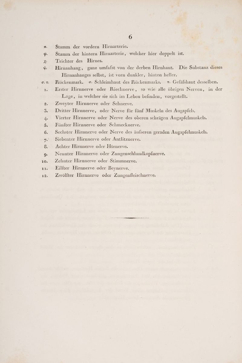 , 12. 6 Stamm der vordern Hirnarterie. Stamm der hintern EHlirnarterie, welcher hier doppelt ist. Trichter des Hirnes. Hirnanhang, ganz umfafst von der derben Hirnhaut. Die Substanz dieses Fiirnanhanges selbst, ist vorn dunkler, hinten heller. Piückenmark. 0. Schleimhaut des Rückenmarks. 7. Gefälshaut desselben. Erster Elirnnerve oder Riechnerve, so wie alle übrigen Nerven, in der Lage, in welcher sie sich im Lieben befinden, vorgestellt. Zweyter Llirnnerve oder Schnerve. Dritter Flirnnerve, oder Nerve für fünf Muskeln des Augapfels. Vierter Hirnnerve oder Nerve des oberen schrägen Augapfelmuskels. Fünfter Hirnnerve oder Schmecknerve. | Sechster Hirnnerve oder Nerve des äulseren geraden Augapfelmuskels. Siebenter Hirnnerve oder Antlitznerve. Achter Hirnnerve oder Hörnerve. Neunter Hirnnerve oder Zungenschlundkopfnerve. Zehnter Hirnnerve oder Stimmnerve. Eilfter Hirnnerve oder Beynerve. Zwölfter Flirnnerve oder Zungenlleischnerve.