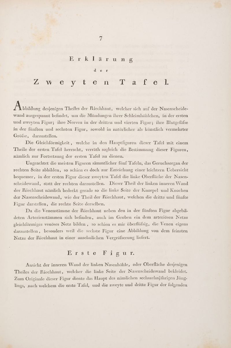 Bed an der EEE EEE A eier desjenigen Theiles der Piechhaut, welcher sich auf der Nasenscheide- wand ausgespannt befindet, um die Mündungen ihrer Schleimhöhlchen, in der ersten und zweyten Figur; ihre Nerven in der dritten und vierten Figur; ihre Blutgefälse in der fünften und sechsten Figur, sowohl in natürlicher als künstlich vermehrter Grölse, darzustellen. Die Gleichförmigkeit, welche in den Hauptfiguren dieser Tafel mit einem Theile der ersten Tafel herrscht, verräth sogleich die Bestimmung dieser Figuren, nämlich zur Fortsetzung der ersten 'Lafel zu dienen. Ungeachtet die meisten Figuren sämmtlicher fünf Tafeln, das Geruchsorgan der rechten Seite abbilden, so schien es doch zur Erreichung einer leichtern Uebersicht bequemer, in der ersten Figur dieser zweyten Tafel die linke Oberfläche der Nasen- scheidewand, statt der rechten darzustellen. Dieser Theil der linken inneren Wand der Piiechhaut nämlich bedeckt gerade so die linke Seite der Knorpel und Knochen der Nasenscheidewand, wie der Theil der Puechhaut, welchen die dritte und fünfte Figur darstellen, die rechte Seite derselben. Da die Venenstämme der Triechhaut neben den in der fünften Figur abgebil- deten Arterienstämmen sich befinden, auch im Groben ein dem arteriösen Netze gleichförmiges venöses Netz bilden , so schien es mir überflülsig, die Venen eigens darzustellen, besonders weil die sechste Figur eine Abbildung von dem feinsten Netze der Puiechhaut in einer ansehnlichen Vergröfserung liefert. rs twoieweüur. Ansicht der inneren Wand der linken Nasenhöhle, oder Oberfläche desjenigen Theiles der Riechhaut, welcher die linke Seite der Nasenscheidewand bekleidet. Zum Originale dieser Figur diente das Haupt des nämlichen sechszehnjährigen Jüng- lings, nach welchem die erste Tafel, und die zweyte und dritte Figur der folgenden