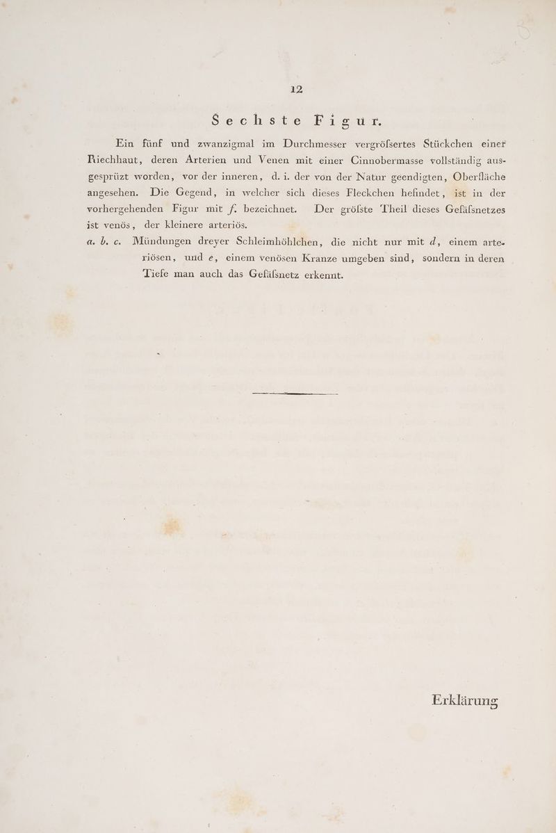 Siesn.h.sit,e, Baer, Ein fünf und zwanzigmal im Durchmesser vergröfsertes Stückchen einet Piechhaut, deren Arterien und Venen mit einer Cinnobermasse vollständig aus- gesprüzt worden, vor der inneren, d.i. der von der Natur geendigten, Oberfläche angesehen. Die Gegend, in welcher sich dieses Fleckchen hefindet, ist in der vorhergehenden Figur mit f. bezeichnet. Der grölste Theil dieses Gefälsnetzes ist venös, der kleinere arteriös. a. b. c. Mündungen dreyer Schleimhöhlchen, die nicht nur mit d, einem arte. riösen, und e, einem venösen Kranze umgeben sind, sondern in deren Tiefe man auch das Gefälsnetz erkennt.