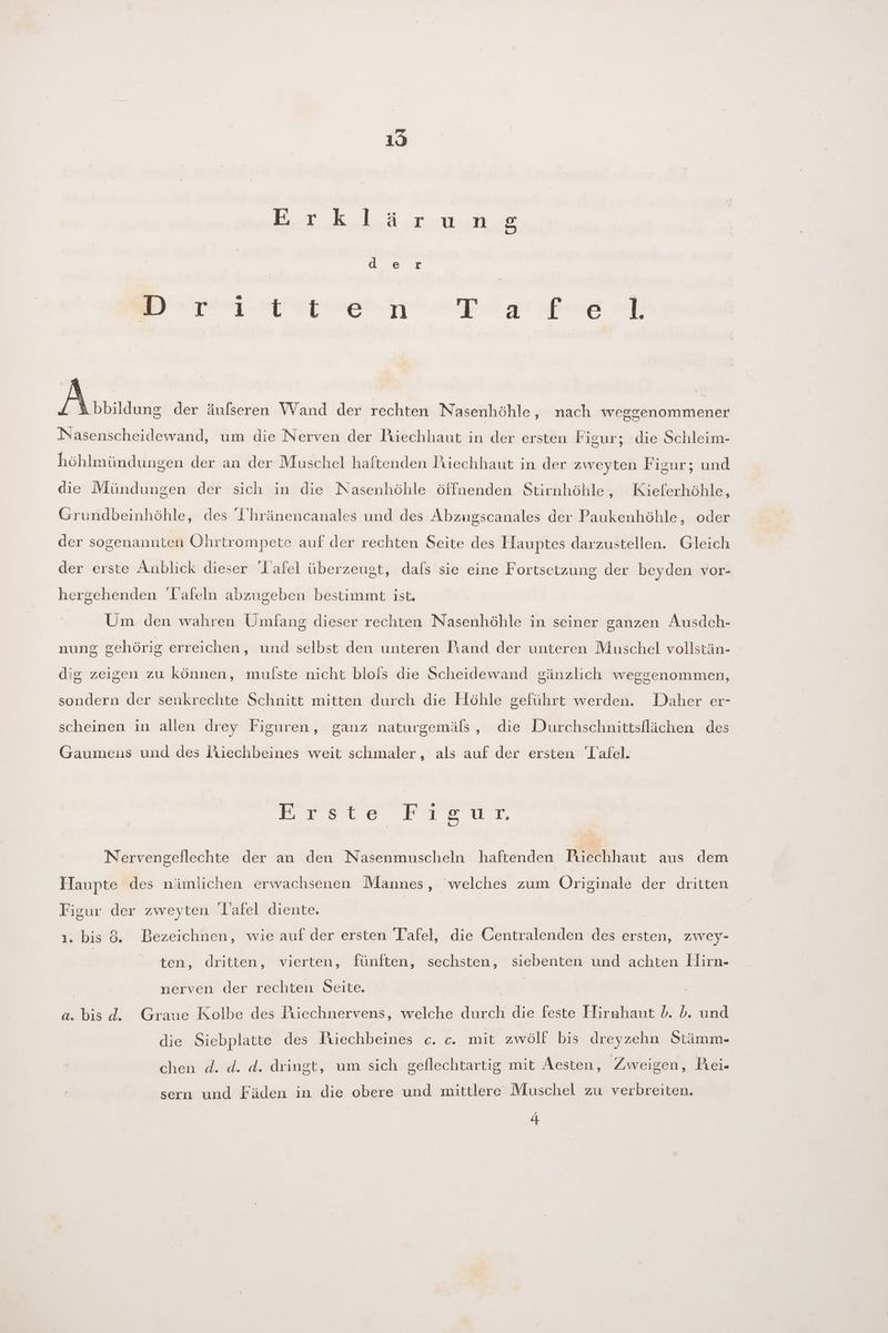 19 ER ER BR RE Een We de r la a: Sk Sana Sales 200 a Es LEERE SI 8 2 sn der äufseren Wand der rechten Nasenhöhle, nach weggenommener Nasenscheidewand, um die Nerven der Piüechhaut in der ersten Figur; die Schleim- höhlmündungen der an der Muschel haftenden Riechhant in der zweyten Figur; und die Mündungen der sich in die Nasenhöhle öffuenden Stirnhöhle, Kieferhöhle, Grundbeinhöhle, des I'hränencanales und des Abzugscanales der Paukenhöhle, oder der sogenannten Ohrtrompete auf der rechten Seite des FHauptes darzustellen. Gleich der erste Anblick dieser ‘Tafel überzeugt, dals sie eine Fortsetzung der beyden vor- hergehenden Tafeln abzugeben bestimmt ist. Um den wahren Umfang dieser rechten Nasenhöhle in seiner ganzen Ausdceh- nung sehörig erreichen, und selbst den unteren Rand der unteren Muschel vollstän- dig zeigen zu können, mulste nicht blols die Scheidewand gänzlich weggenommen, sondern der senkrechte Schnitt mitten durch die Höhle geführt werden. Daher er- scheinen in allen drey Figuren, ganz naturgemäls, die Durchschnittsflächen des Gaumeus und des liiechbeines weit schmaler, als auf der ersten Tafel. 2 PeLec PreetT Nervengeflechte der an den Nasenmuscheln haftenden Piechhaut aus dem Haupte des nämlichen erwachsenen Mannes, welches zum Originale der dritten Figur der zweyten l’afel diente. | 1. bis 6. Bezeichnen, wie auf der ersten Tafel, die Oentralenden des ersten, zwey- | ten, dritten, vierten, fünften, sechsten, siebenten und achten Hirn- nerven der rechten Seite. Bi | a. bis d. Graue Kolbe des Puechnervens, welche durch die feste Hirnhaut b. b. und die Siebplatte des Piechbeines c. c. mit zwölf bis dreyzehn Stämm- chen d. d. d. dringt, um sich geflechtartig mit Aesten, Zweigen, Piei- sern und Fäden in die obere und mittlere Muschel zu verbreiten.