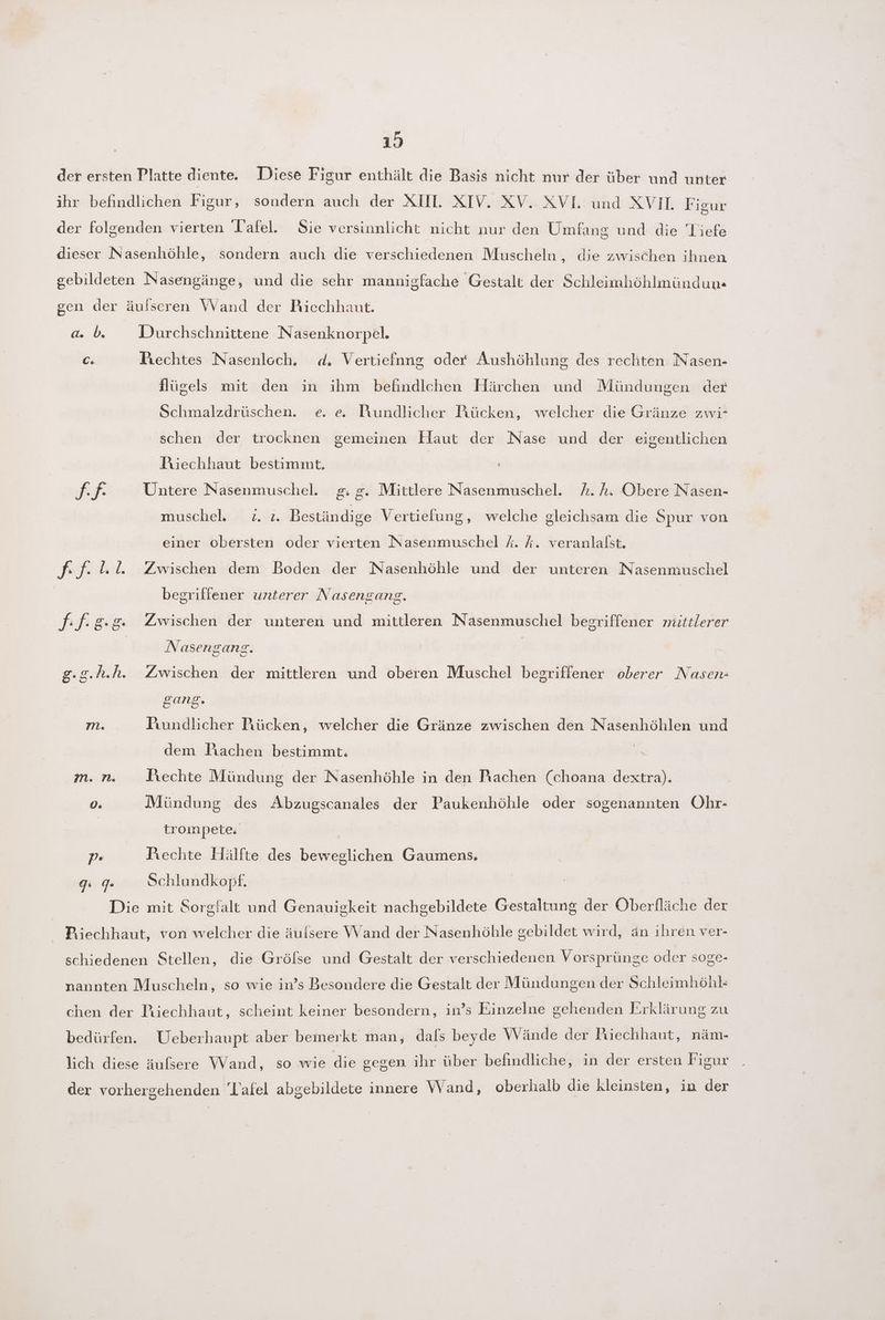 ıd Sie versinnlicht nicht nur den Umfang und die Tiefe 0,03 Ce Durchschnittene N asenknorpel. Mechtes Nasenlcch. flügels mit den in ihm befindichen Härchen und Mündungen der d. Vertiefnng oder Aushöhlung des rechten. Nasen- Schmalzdrüschen. e. e. Rundlicher Rücken, welcher die Gränze zwi* schen der trocknen gemeinen Haut der Nase und der eigentlichen Piechhaut bestimmt. Untere Nasenmuschel. h. h. Obere Nasen- i. ı. Beständige Vertiefung, welche gleichsam die Spur von gg. Mittlere Nasenmuschel. muschel. einer obersten oder vierten Nasenmuschel 4. k. veranlafst. Zwischen dem Boden der Nasenhöhle und der unteren Nasenmuschel begriffener unterer Nasengang. Zwischen der unteren und mittleren Nasenmuschel begriffener mittlerer Nasengang. f Zwischen der gang. Pıundlicher Rücken, welcher die Gränze zwischen den Nasenhöhlen und dem Jiachen bestimmt. Prechte Mündung der Nasenhöhle in den Rachen (choana dextra). Mündung des Abzugscanales der Paukenhöhle oder sogenannten Ohr- trom pete: mittleren und oberen Muschel begriffener oberer Nasen- Prechte Hälfte des beweglichen Gaumens. Schlundkopf. Ueberhaupt aber bemerkt man, dals beyde Wände der Piechhaut, näm-