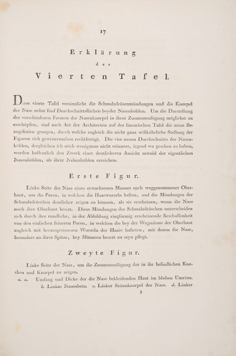 7 Erklärung d- er v3 et ein ee D.. vierte Tafel versinnlicht die Schmalzdrüsenmündungen und die Knorpel der Nase nebst fünf Durchschnittsflächen beyder Nasenhöhlen. Um die Darstellung der verschiedenen Formen der Nasenknorpel in ihrer Zusammenfügung möglichst zu erschöpfen, sind nach Art der Architecten auf der linearischen Tafel die neun Be- zugslinien gezogen, durch welche zugleich die nicht ganz willkührliche Stellung der Figuren sich gewissermalsen rechtfertigt. Die vier neuen Durchschnitte der Nasen- höhlen, dergleichen ich mich wenigstens nicht erinnere, irgend wo gesehen zu haben, werden hoffentlich den Zweck einer deutlicheren Ansicht sowohl der eigentlichen Nasenhöhlen, als ihrer Nebenhöhlen erreichen. ersiıe run Linke Seite der Nase eines erwachsenen Mannes nach weggenommener Öber- haut, um die Poren, in welchen die Haarwurzeln haften, und die Mündungen der Schmalzdrüschen deutlicher zeigen zu können, als sie erscheinen, wenn die Nase noch ihre Öberhaut besizt. Diese Mündungen der Schmalzdrüschen unterscheiden sich durch ihre rundliche, in der Abbildung ringförmig erscheinende Beschaffenheit von den einfachen feineren Poren, in welchen die bey der Wegnahme der Oberhaut zugleich mit herausgerissenen Wurzeln der Haare hafteten, mit denen die Nase, besonders an ihrer Spitze, bey Männern besezt zu seyn pflegt. sata ık ou: Linke Seite der Nase, um die Zusammenfügung der in ihr befindlichen Kno- chen und Knorpel zu zeigen. d & Umfang und Dicke der die Nase bekleidenden Haut im blolsen Umrisse. b. Linkes Nasenbein. c. Linker Seitenknorpel der Nase. d. Linker