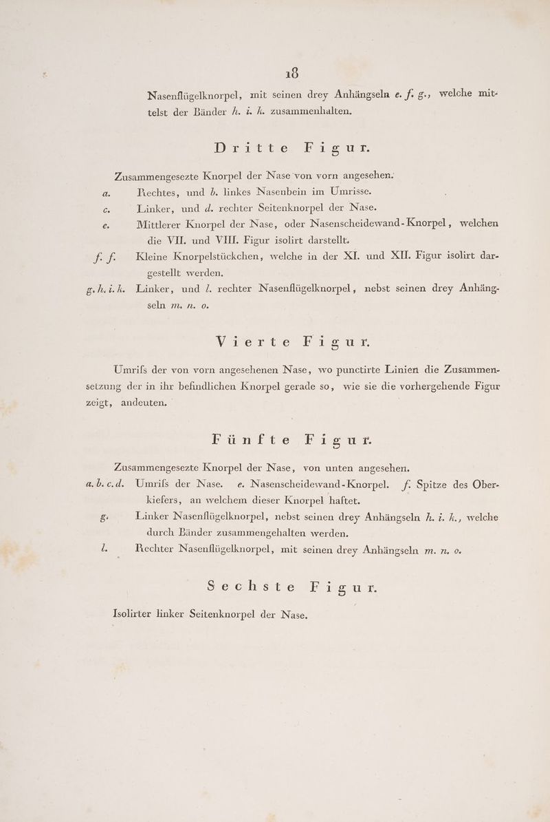 Nasenflügelknorpel, mit seinen drey Anhängseln e. f. g.; welche mit- telst der Bänder A. i. Ak. zusammenhalten. Merian, Bio un. Zusammengesezte Knorpel der Nase von vorn angesehen. a. Piechtes, und b. linkes Nasenbein im Umrisse. 6: Linker, und d. rechter Seitenknorpel der Nase. e. Mittlerer Knorpel der Nase, oder Nasenscheidewand-Knorpel, welchen die VII. und VIll. Figur isolirt darstellt. Hier Kleine Knorpelstückchen, welche in der XI. und XII. Figur isolirt dar- gestellt werden. g.h.i.k. Linker, und /. rechter Nasenflügelknorpel, nebst seinen drey Anhäng- seln m. n. ©. vyıeste Frisur Umrifs der von vorn angesehenen Nase, wo punctirte Linien die Zusammen- setzung der in ihr befindlichen Knorpel gerade so, wie sie die vorhergehende Figur zeigt, andeuten, a a Zusammengesezte Knorpel der Nase, von unten angesehen. a.b.c.d. Umrils der Nase. e. Nasenscheidewand-Knorpel. f. Spitze des Ober- kiefers, an welchem dieser Knorpel haftet. g: Linker Nasenflügelknorpel, nebst seinen drey Anhängseln A. i. k., welche durch Bänder zusammengehalten werden. Rechter Nasenflügelknorpel, mit seinen drey Anhängseln m. n. o. Sechste Ira Isolirter linker Seitenknorpel der Nase.